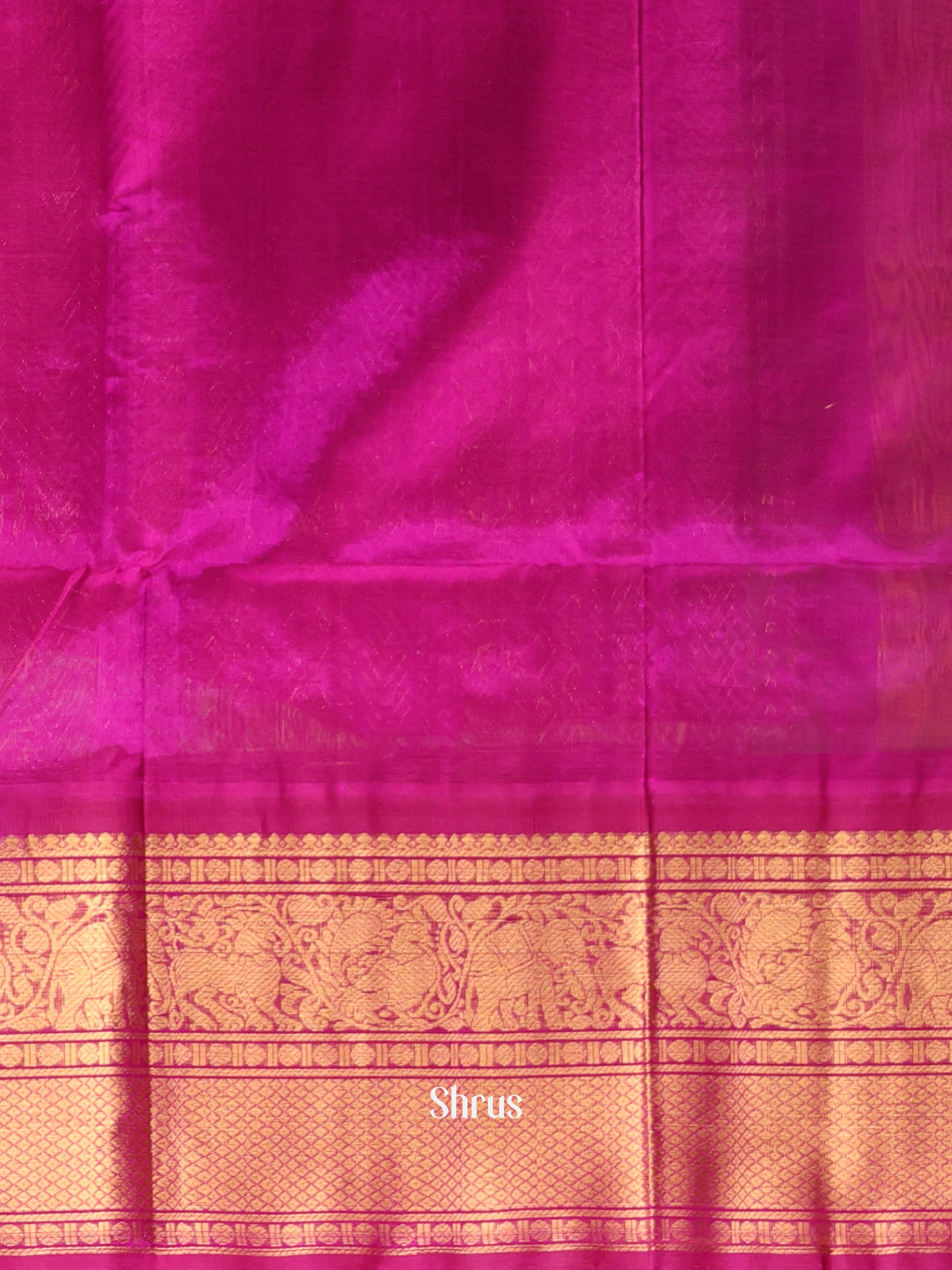 Green & Majenta - Silk Cotton Saree - Shop on Shrus.com
