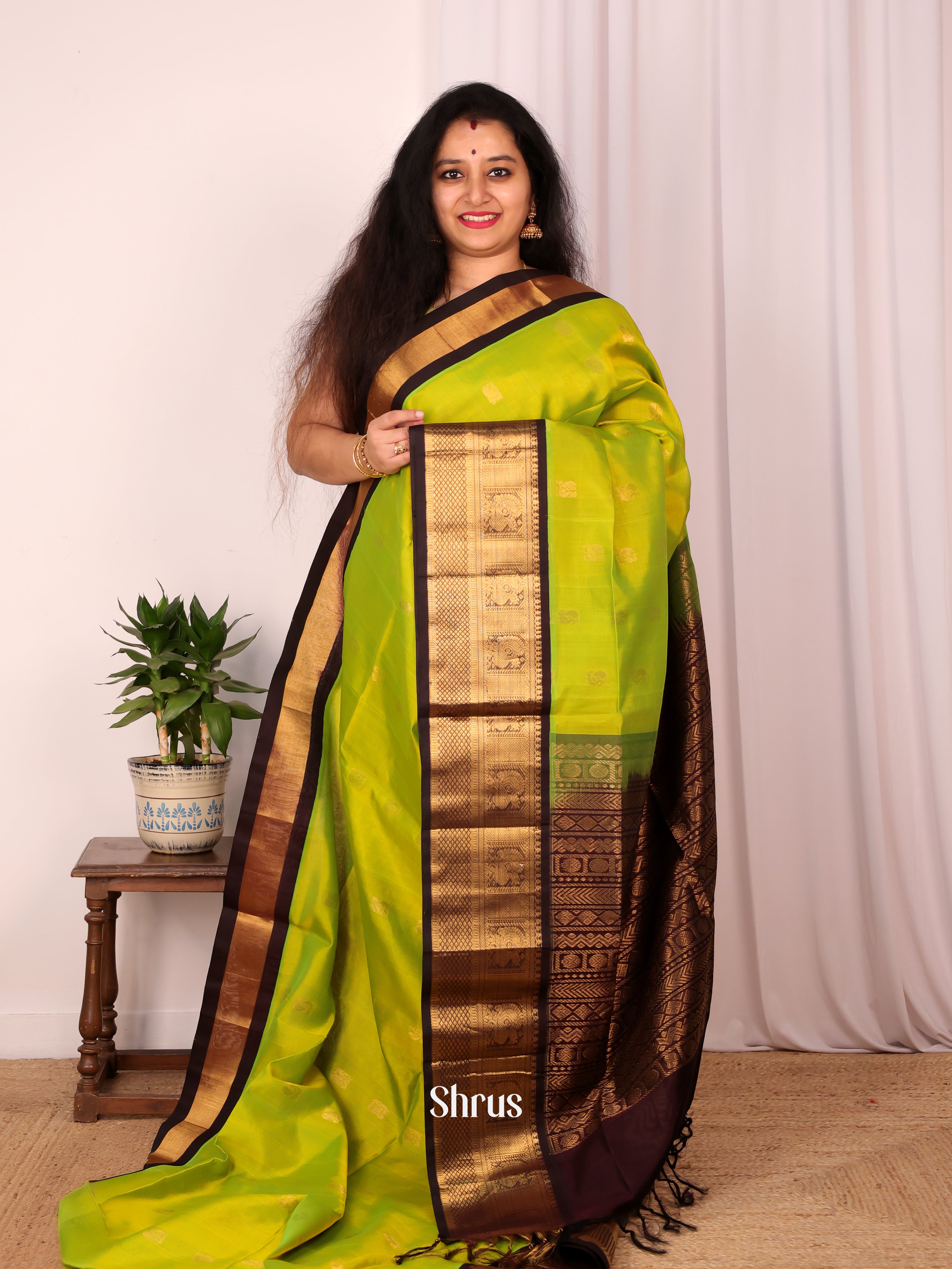 Green & Brown - Silk Cotton Saree - Shop on Shrus.com