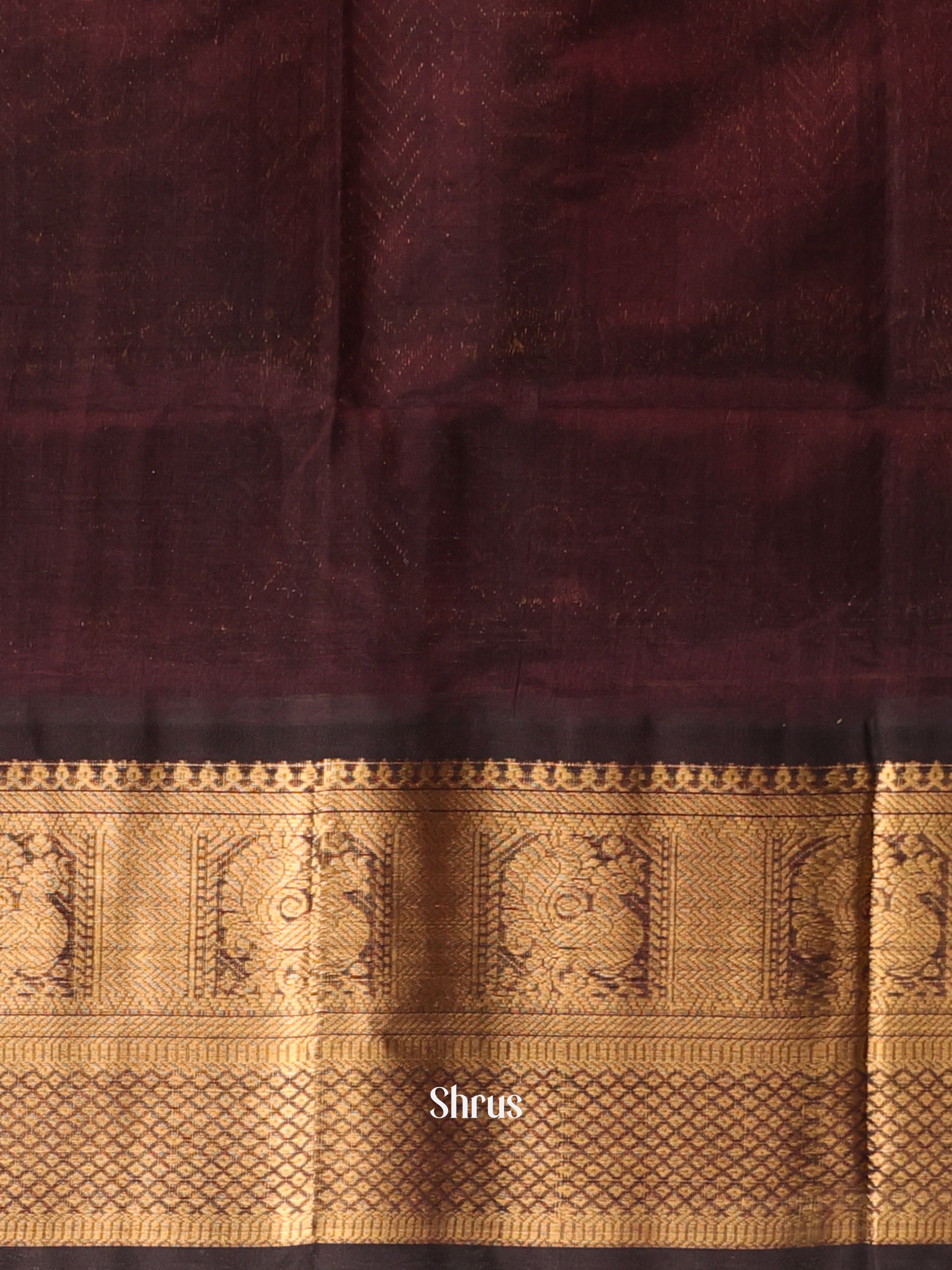 Green & Brown - Silk Cotton Saree - Shop on Shrus.com