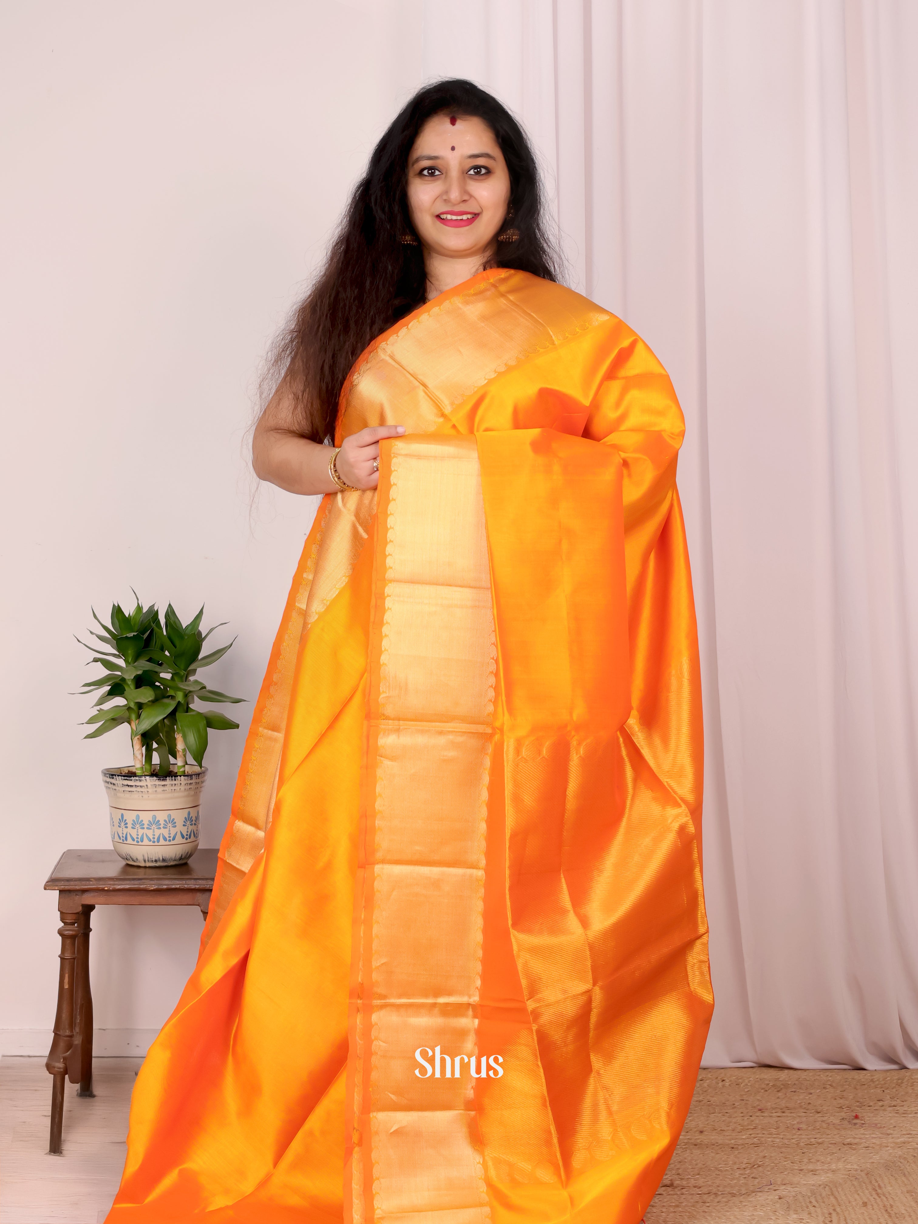 Mustard(Single Tone) - Silk Cotton Saree - Shop on Shrus.com