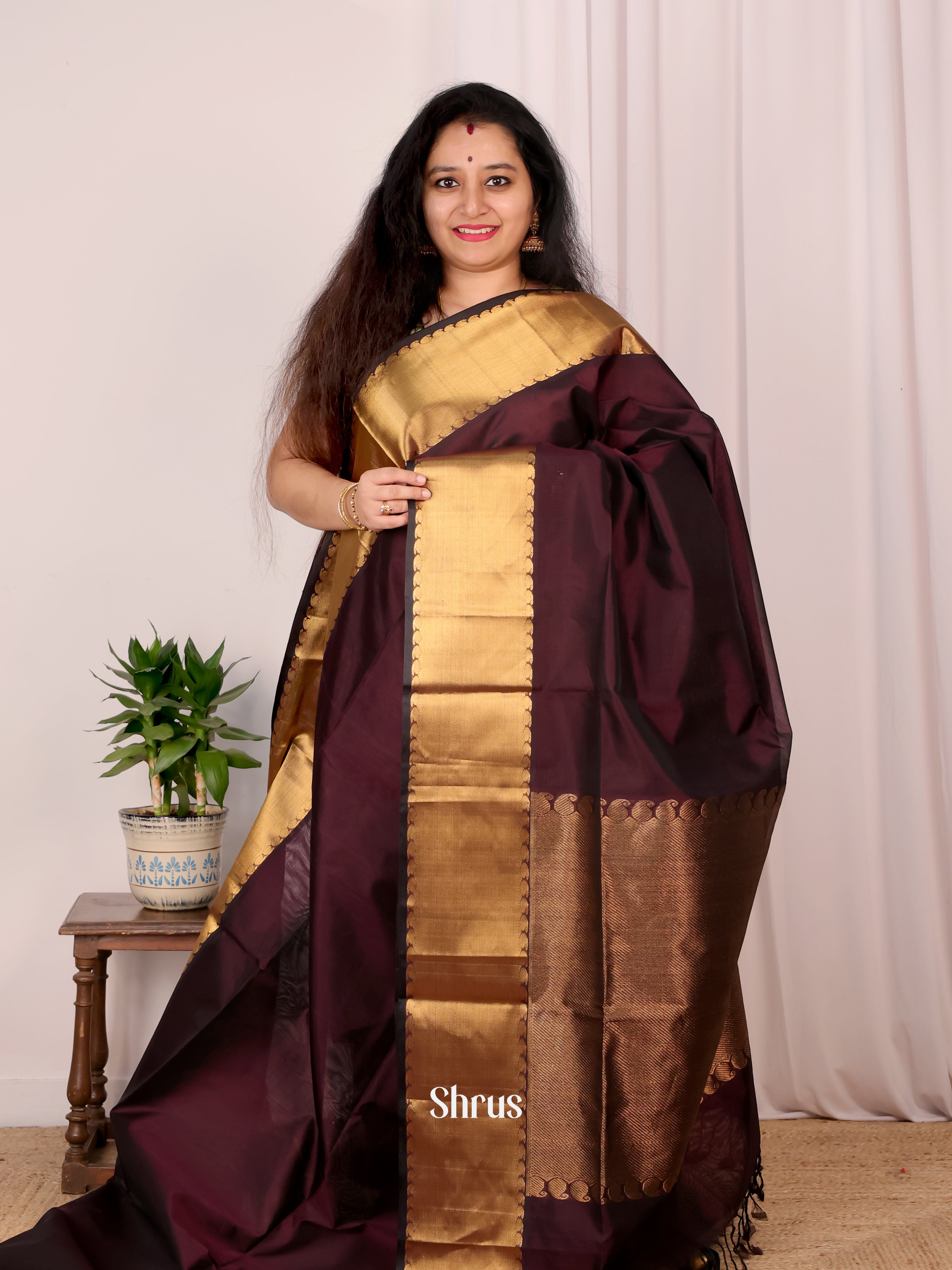 Brown(Single Tone) - Silk Cotton Saree - Shop on Shrus.com