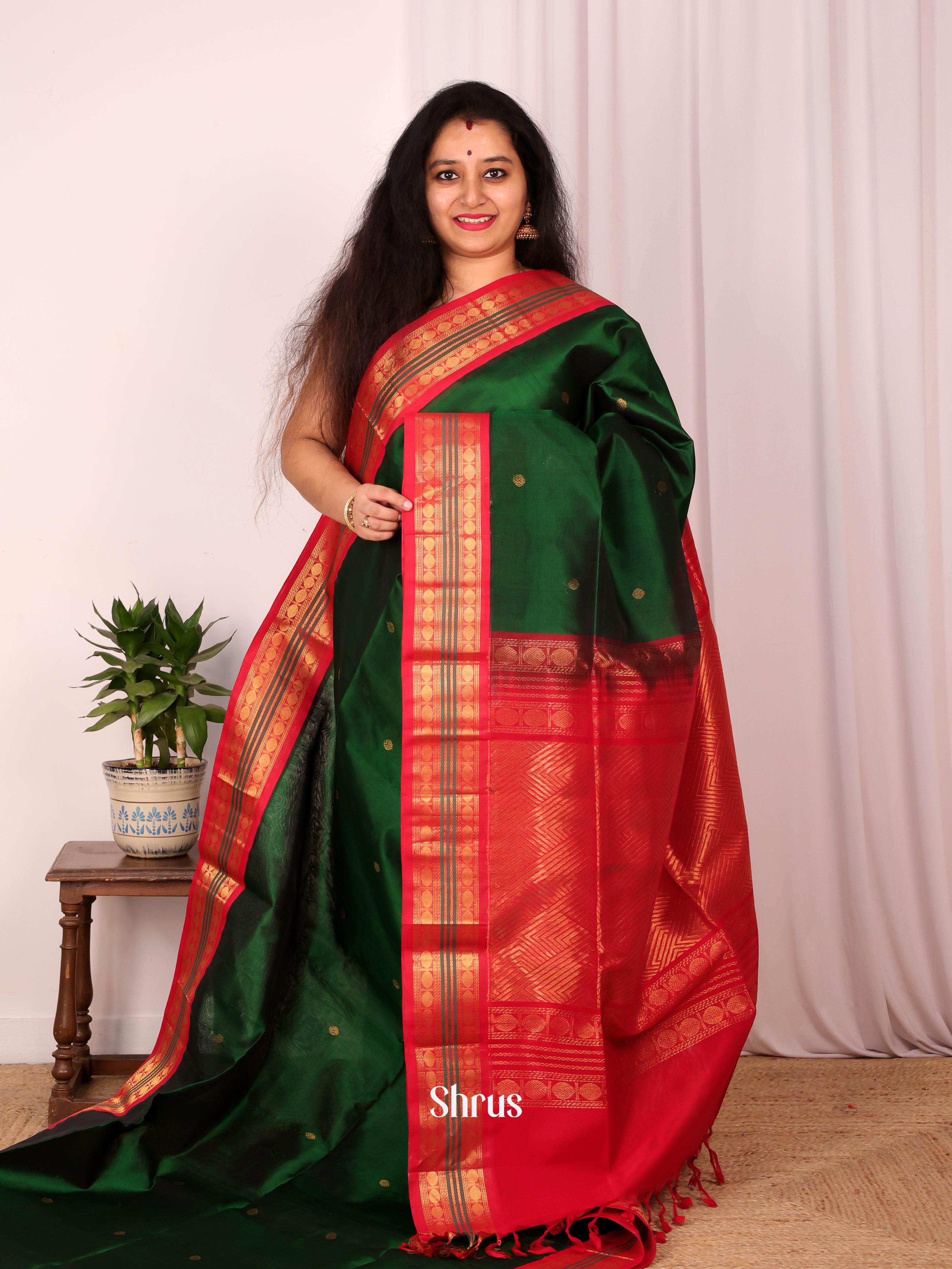 CKS19065 - Silk Cotton Saree - Shop on Shrus.com
