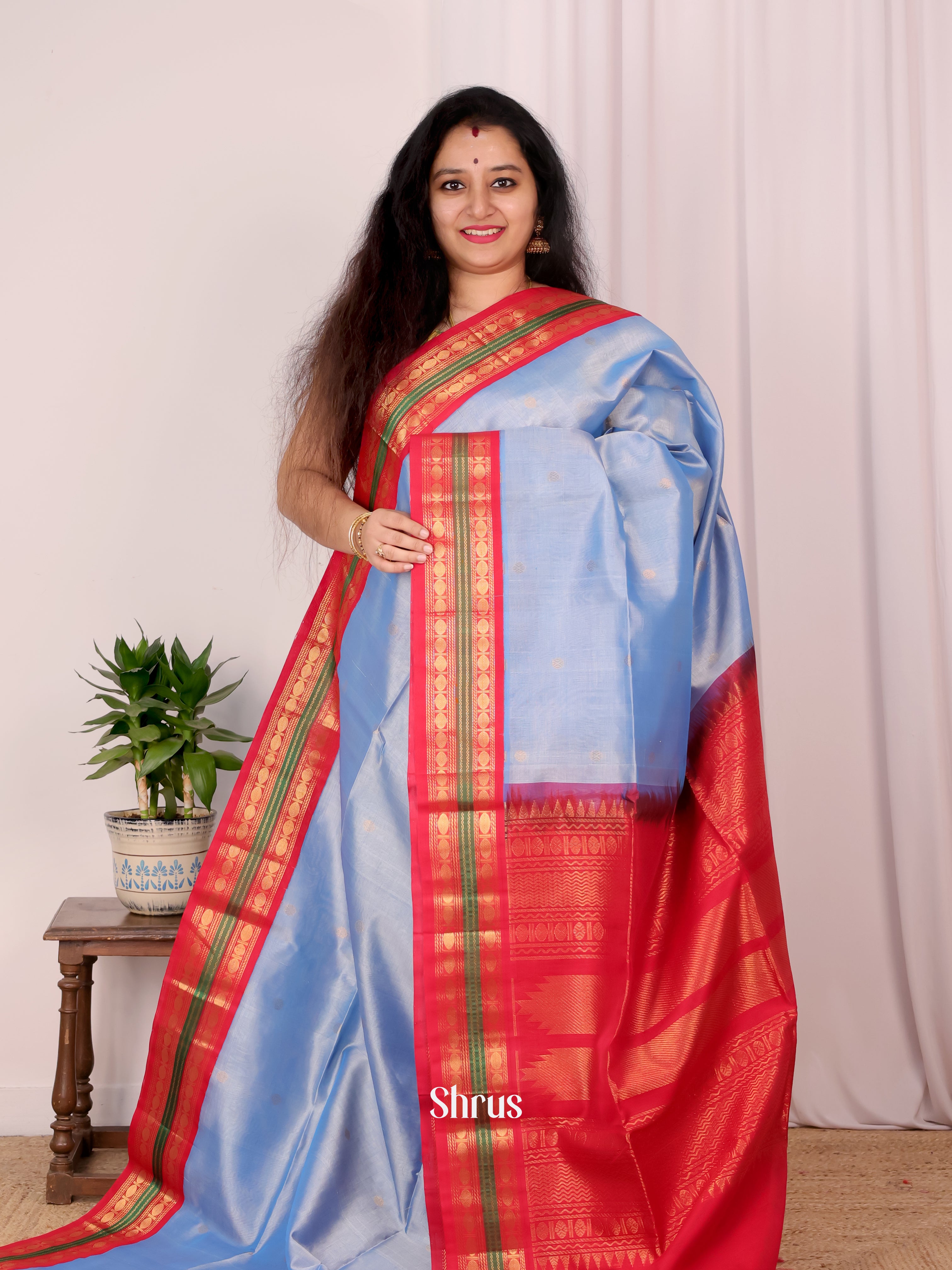 CKS19068 - Silk Cotton Saree - Shop on Shrus.com