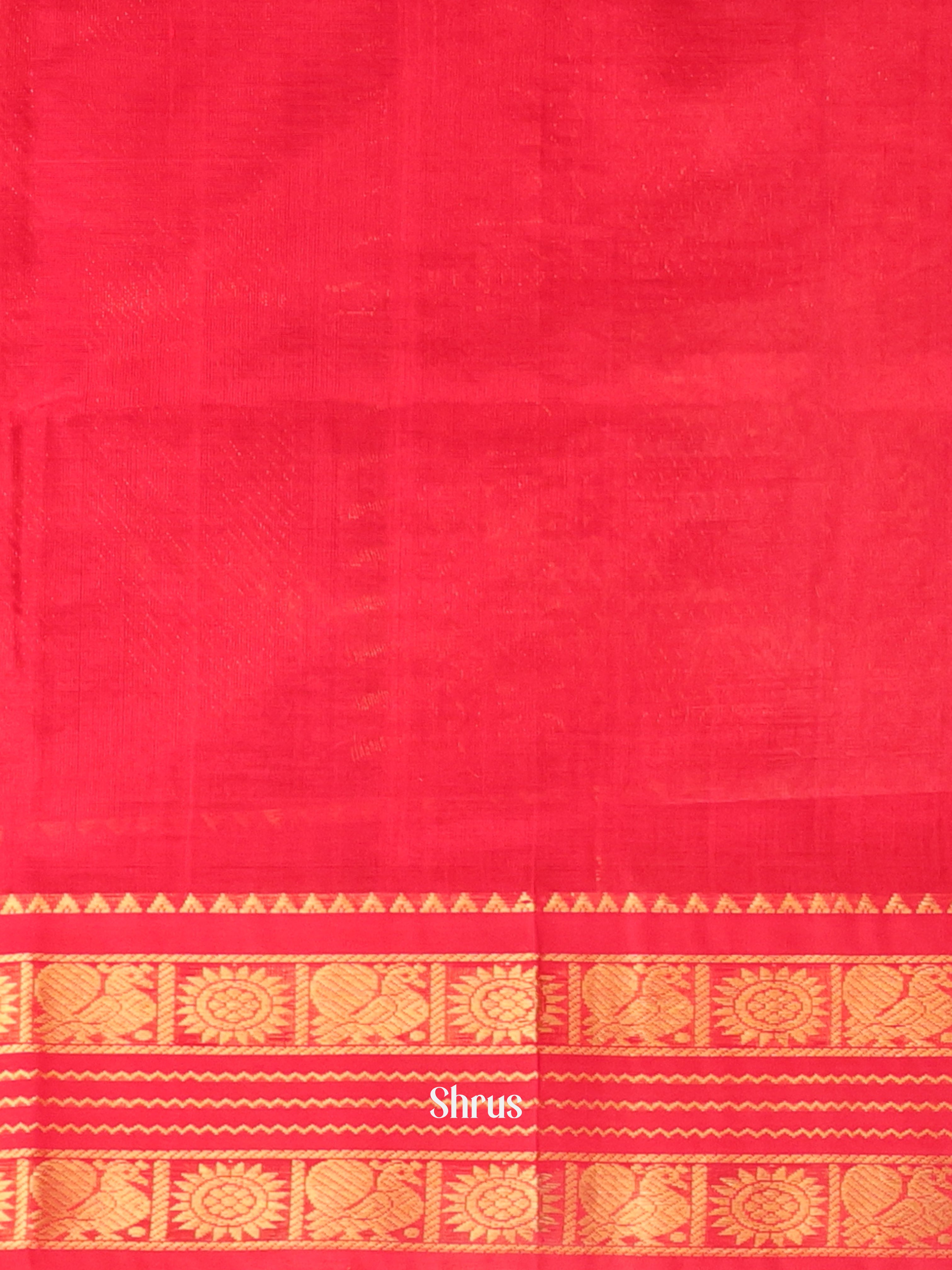 Cream & Red - Silk Cotton Saree - Shop on Shrus.com