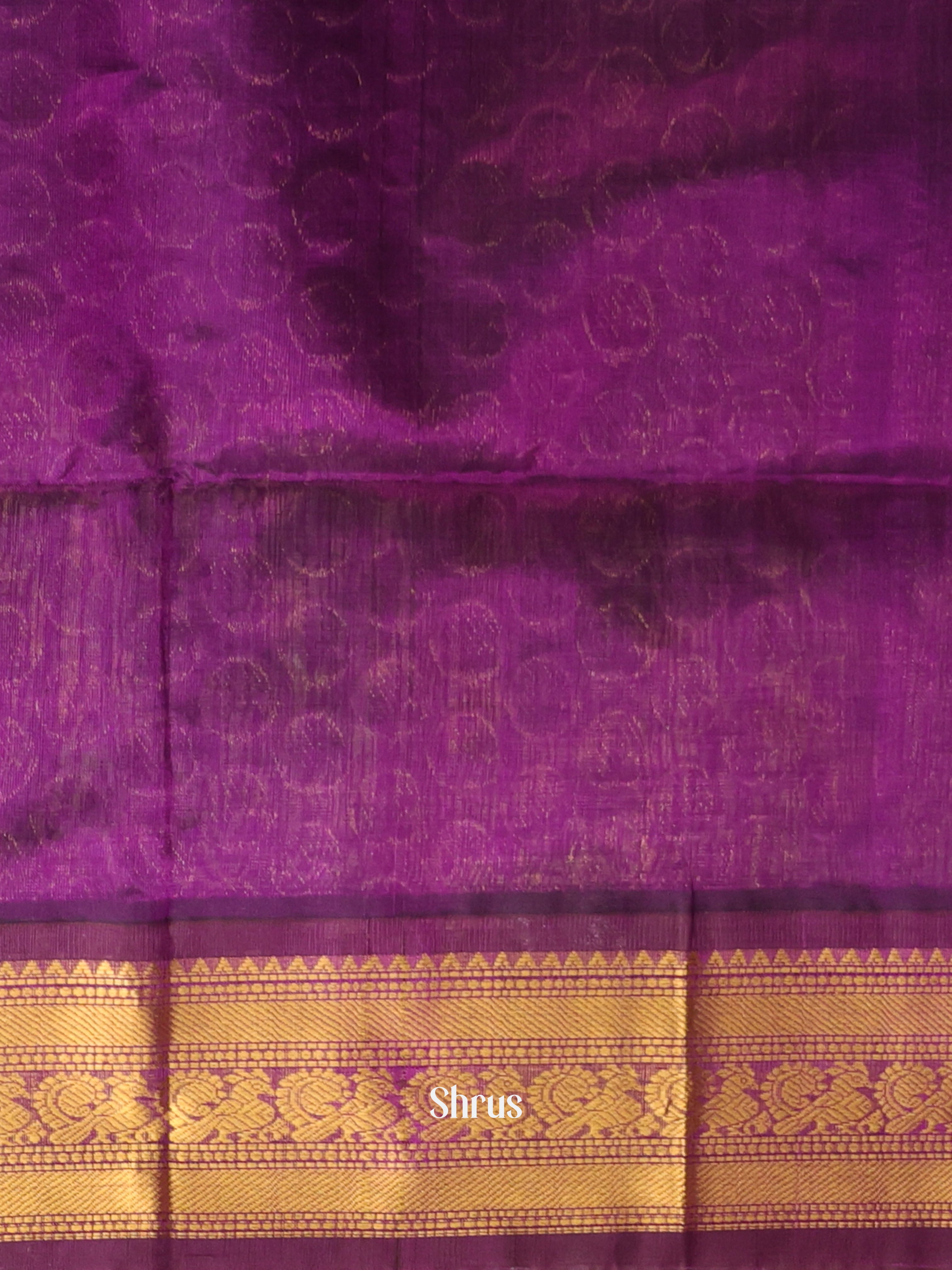 Grey & Violet - Silk Cotton Saree - Shop on Shrus.com