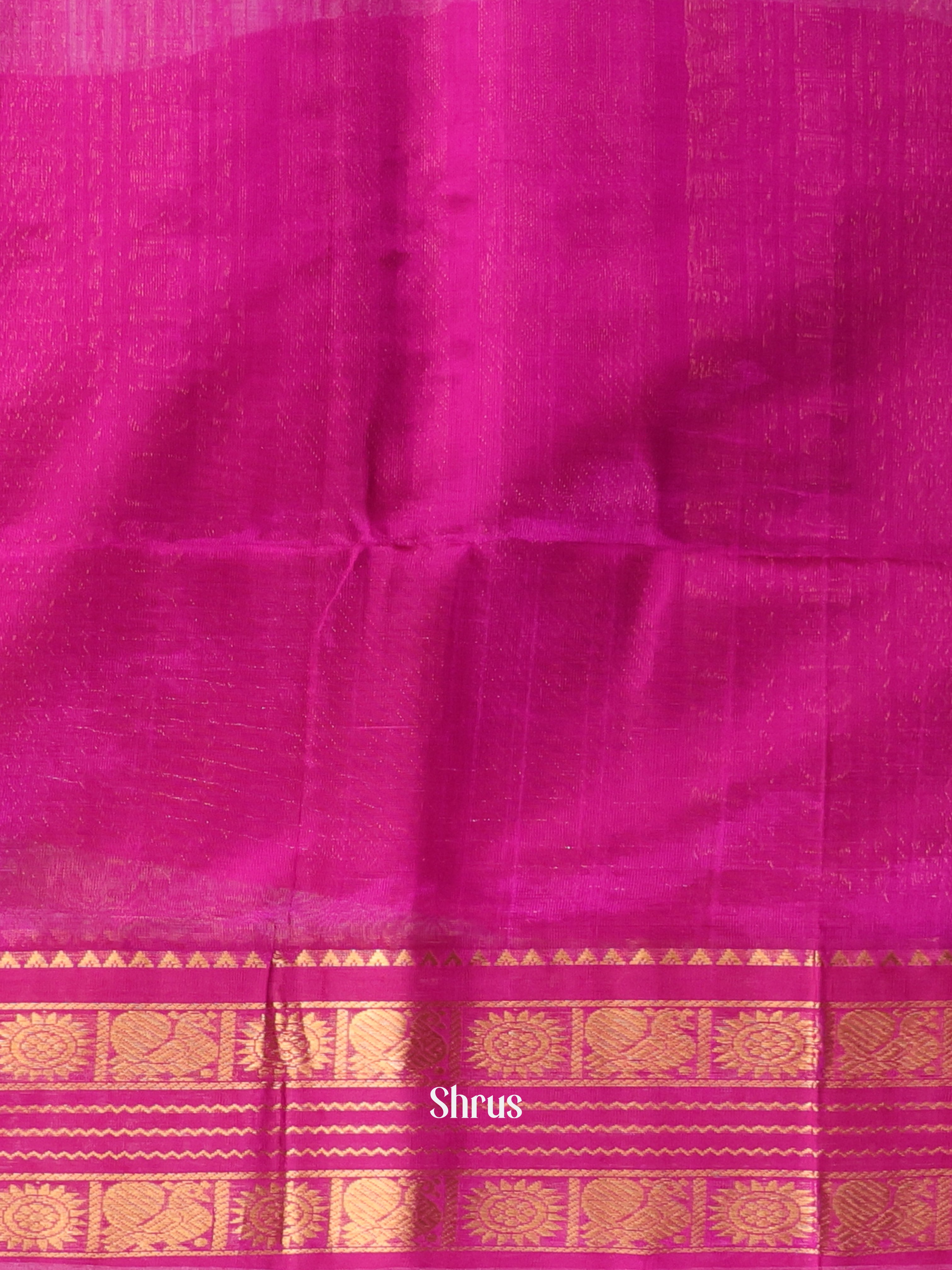 Green & Majenta - Silk Cotton Saree - Shop on Shrus.com
