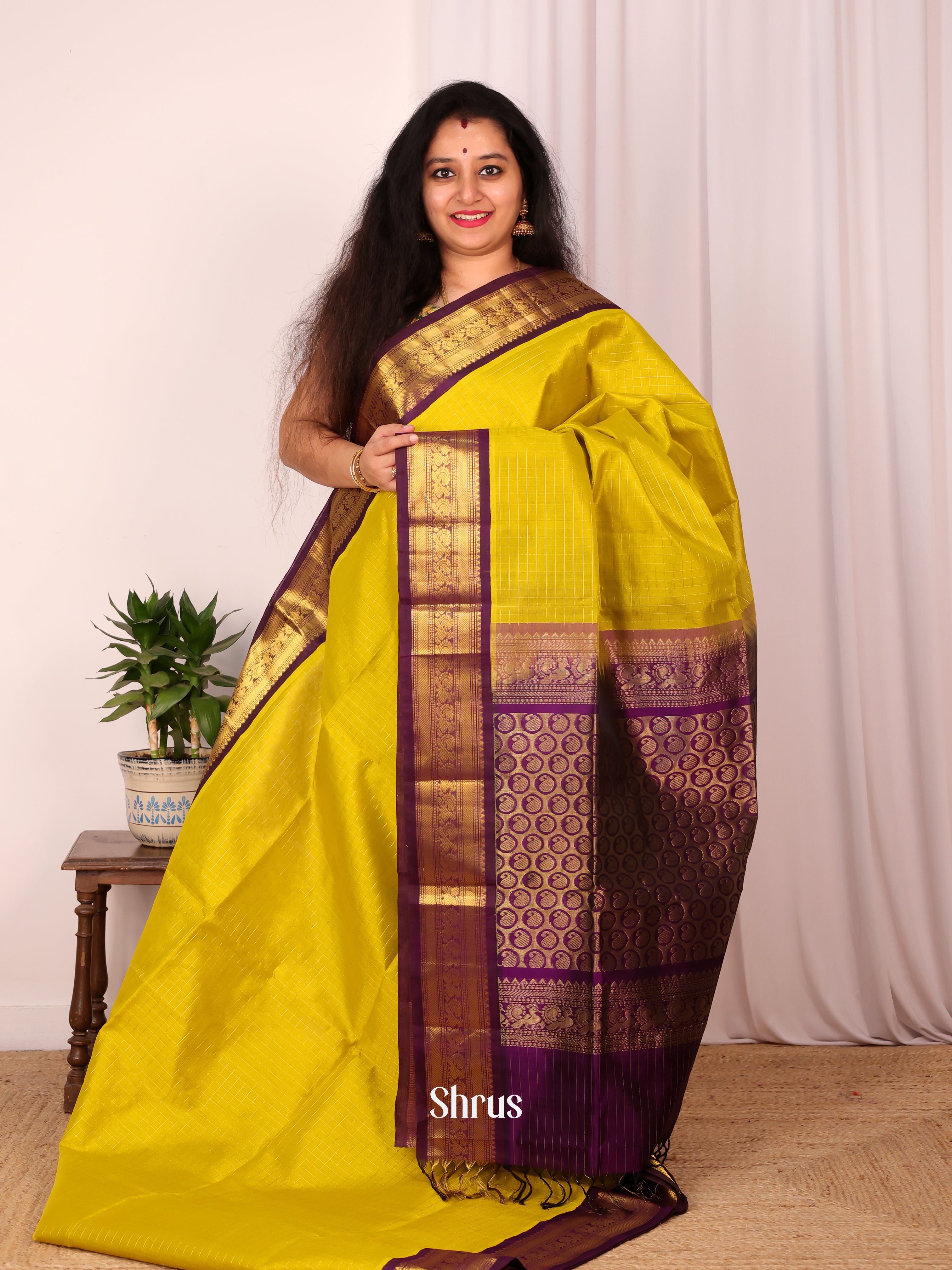 Mustardy Green & Violet - Silk Cotton Saree - Shop on Shrus.com