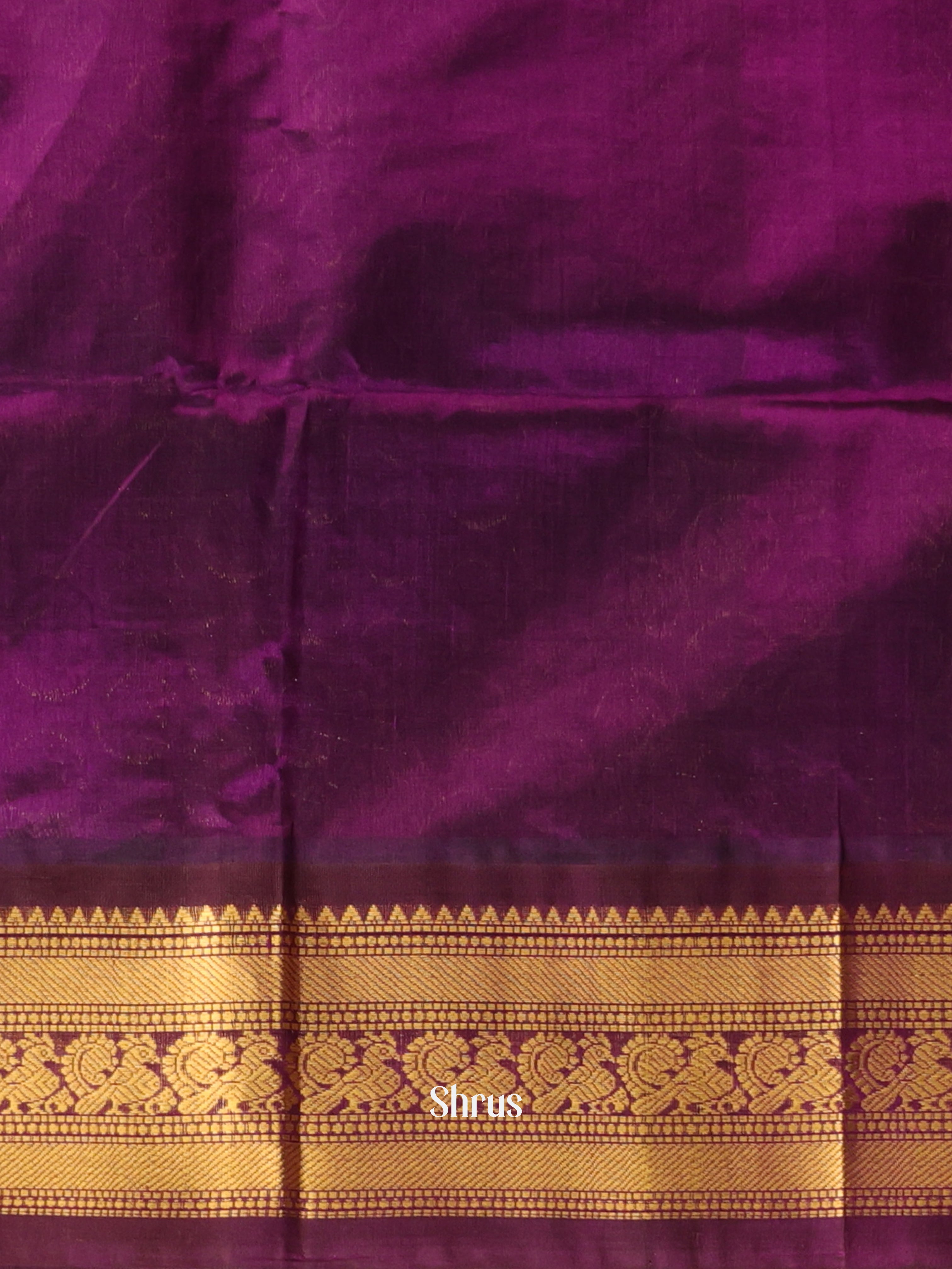 Mustardy Green & Violet - Silk Cotton Saree - Shop on Shrus.com