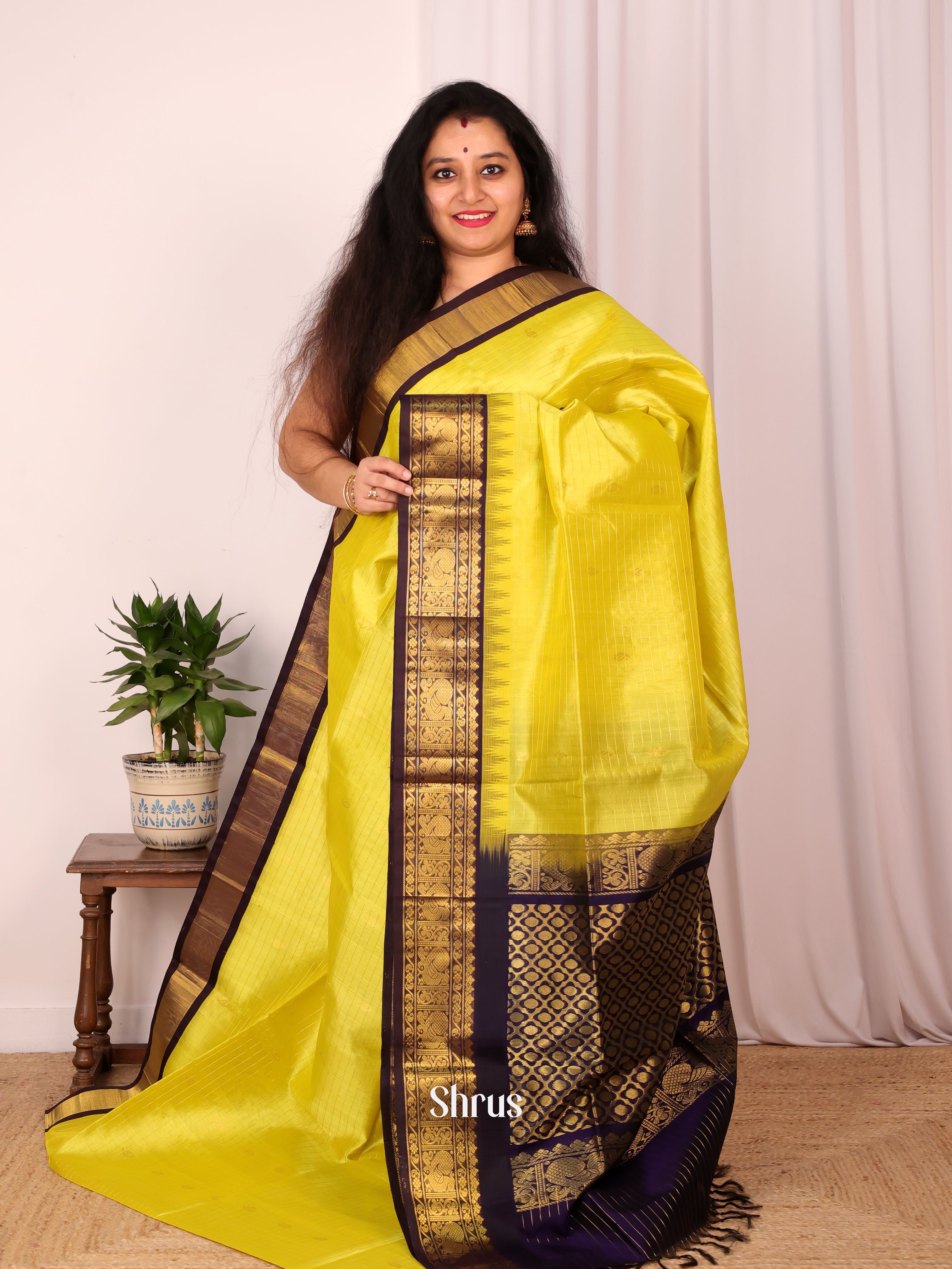 Green & Violet - Silk Cotton Saree - Shop on Shrus.com