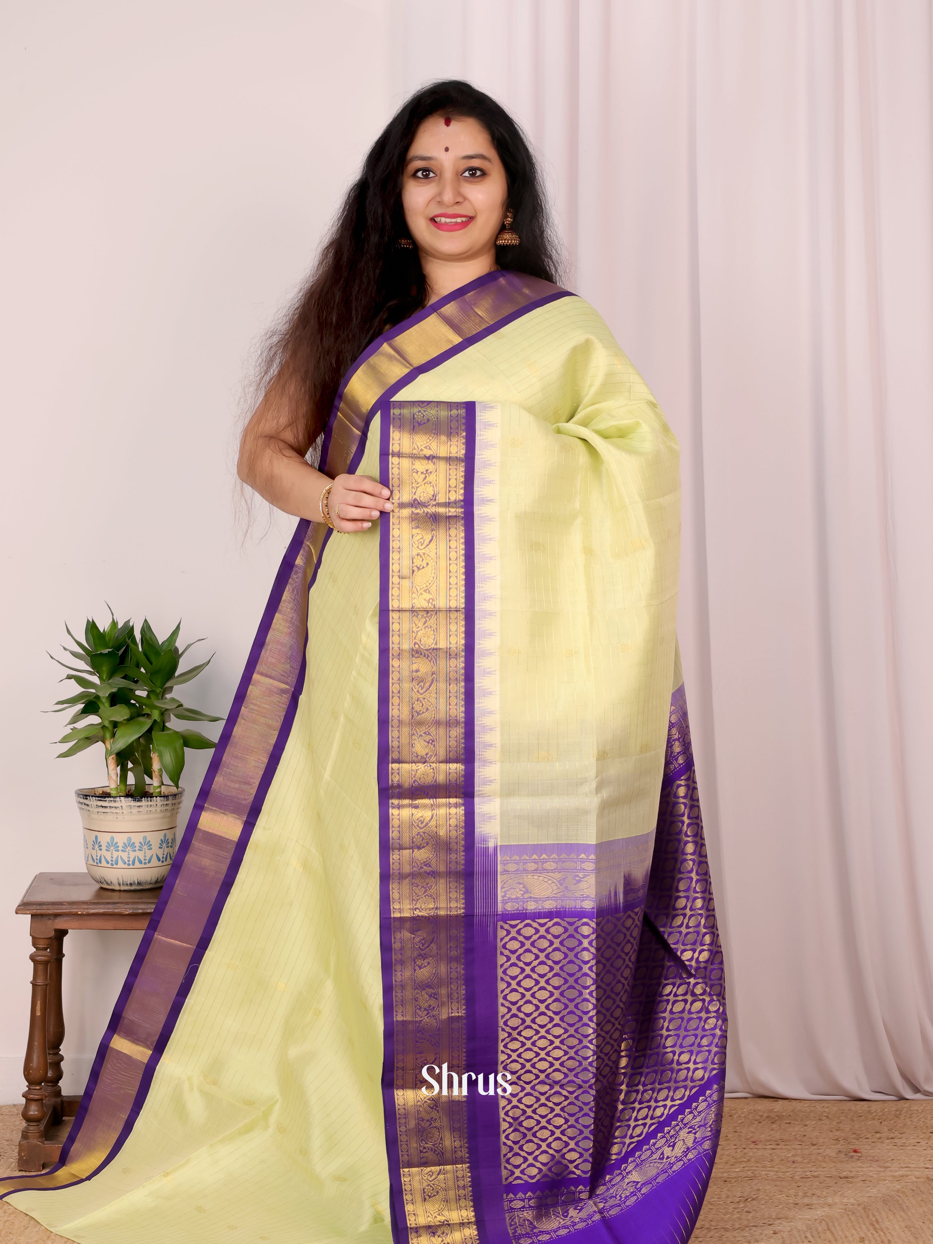 Lite Green & Violet - Silk Cotton Saree - Shop on Shrus.com
