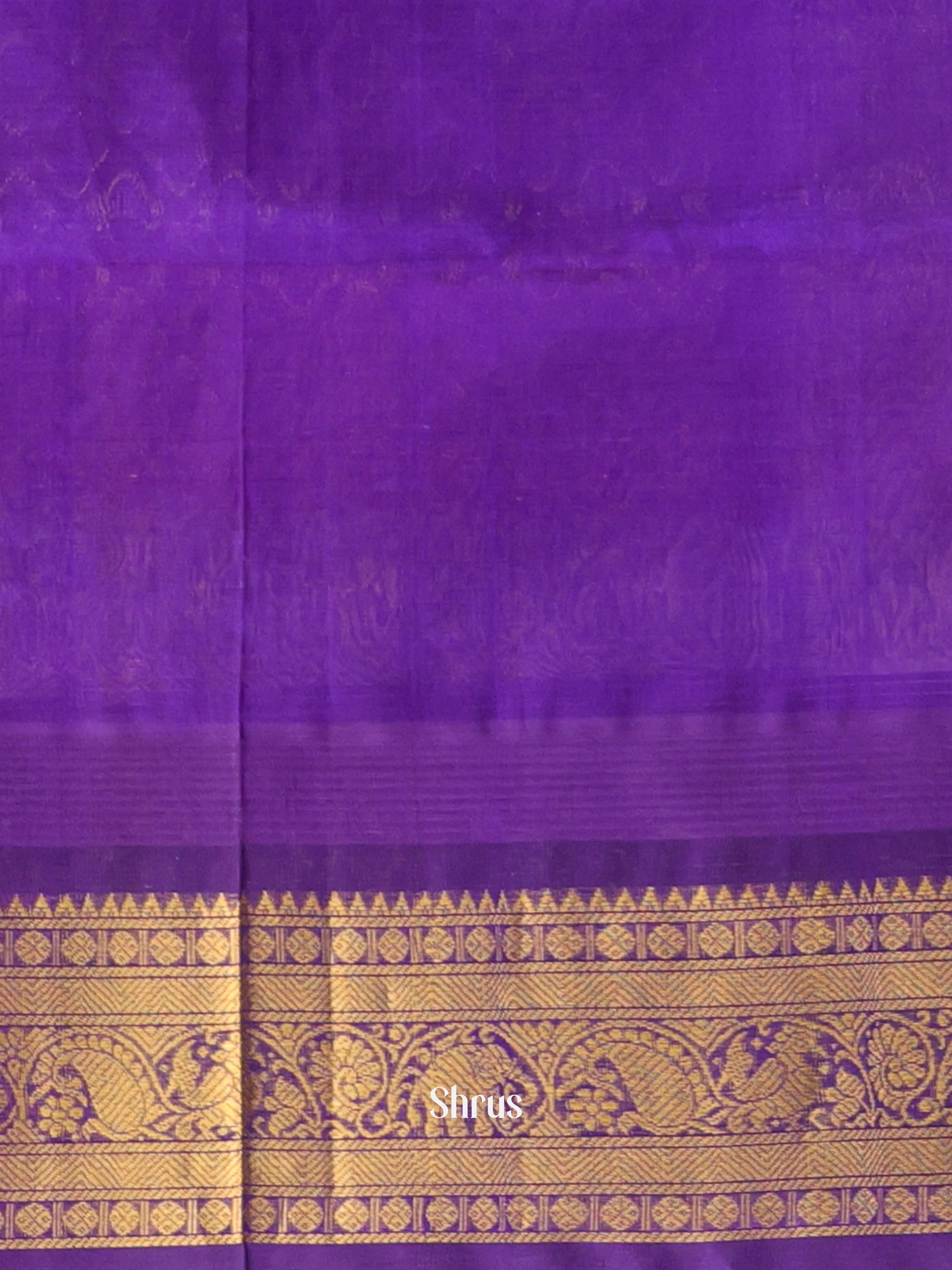 Lite Green & Violet - Silk Cotton Saree - Shop on Shrus.com
