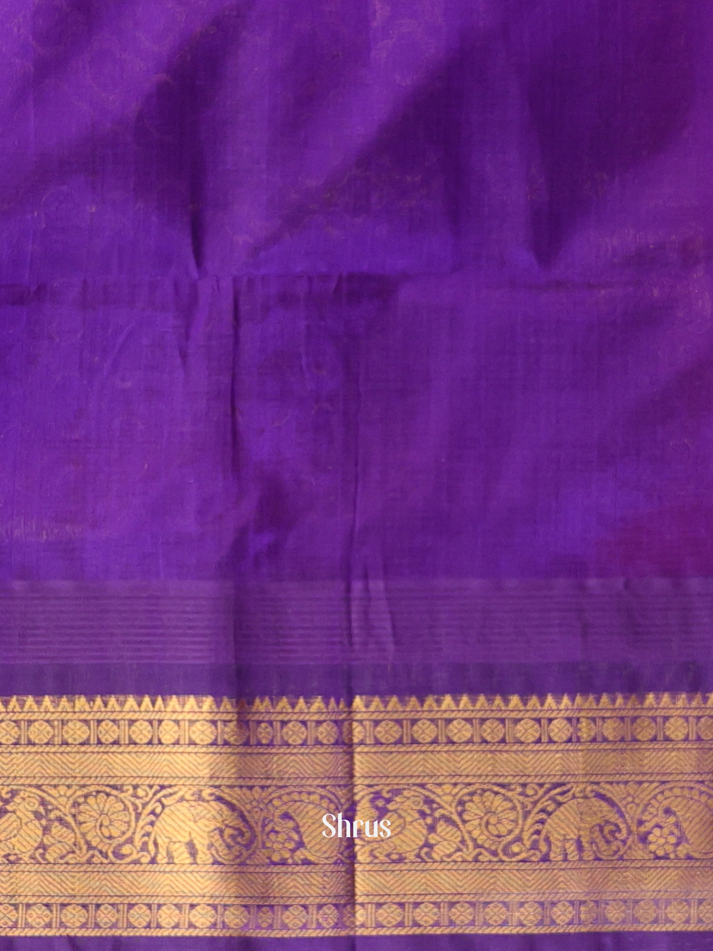 Breezy Pink Silk Cotton Saree With Zari Kattams(Checks) and Buttas Across The Body and Contrast Violet Colour Zari Border -1
