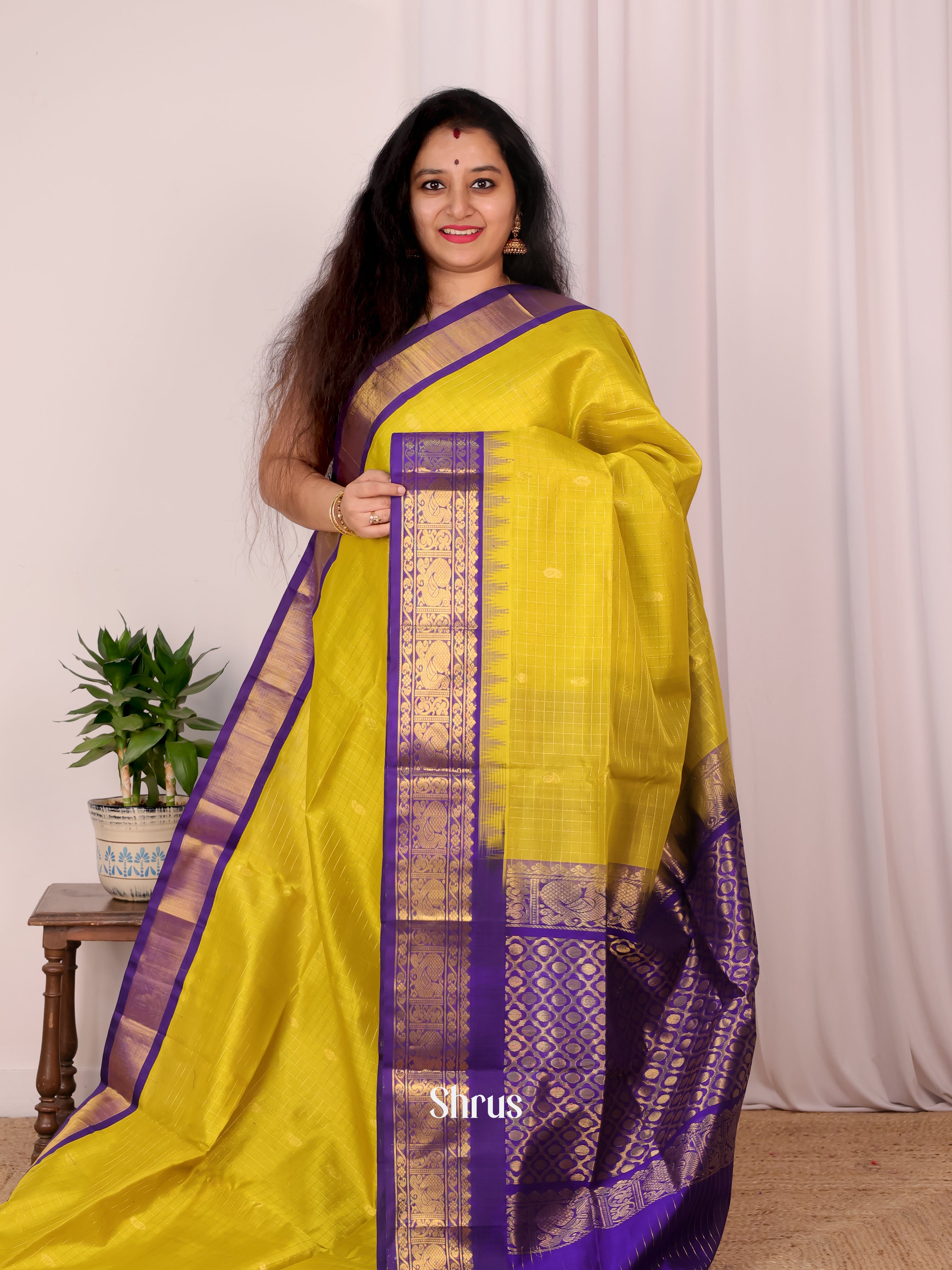 Green & Violet - Silk Cotton Saree - Shop on Shrus.com