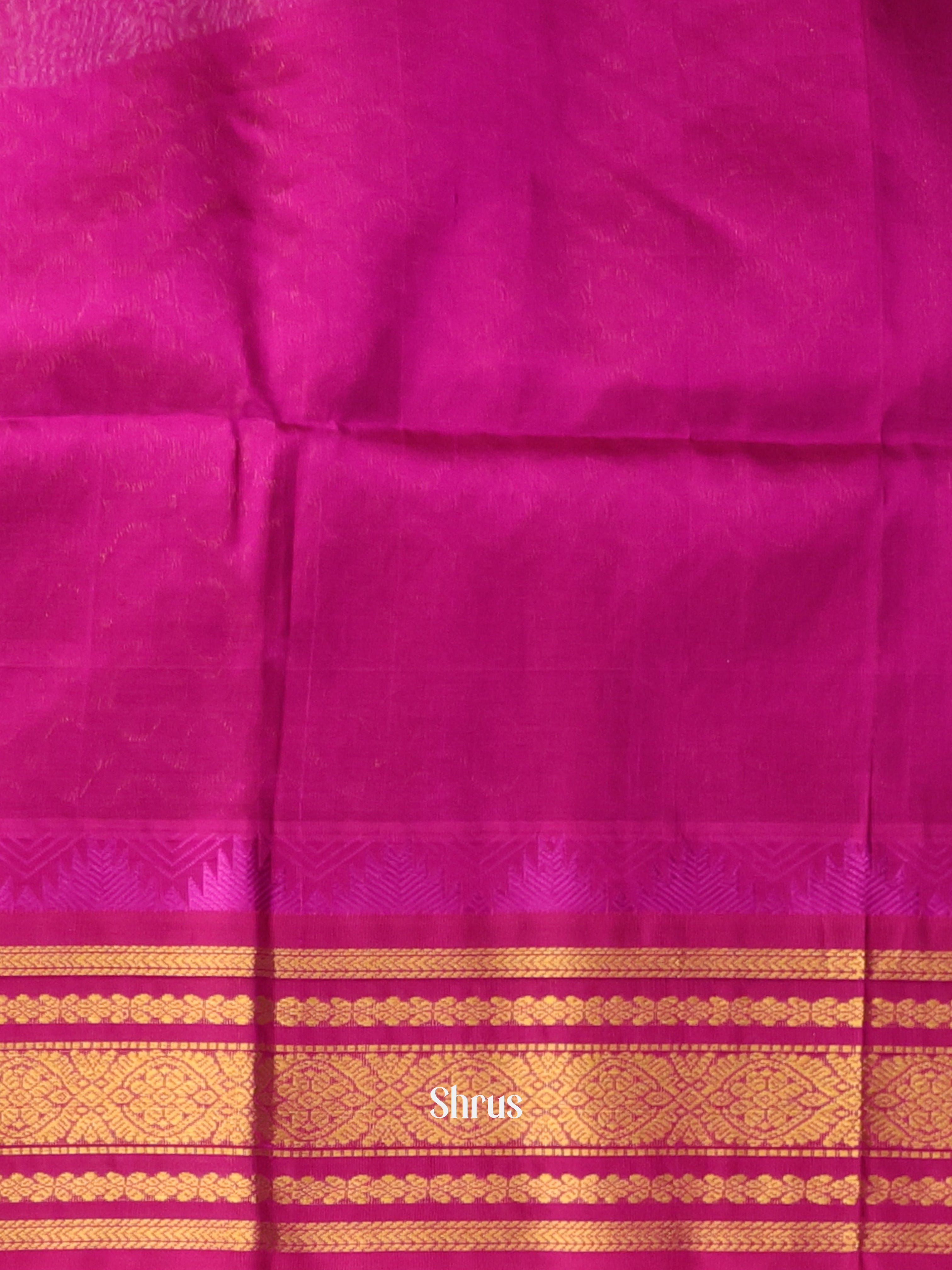Teal Green & Majenta - Silk Cotton Saree - Shop on Shrus.com