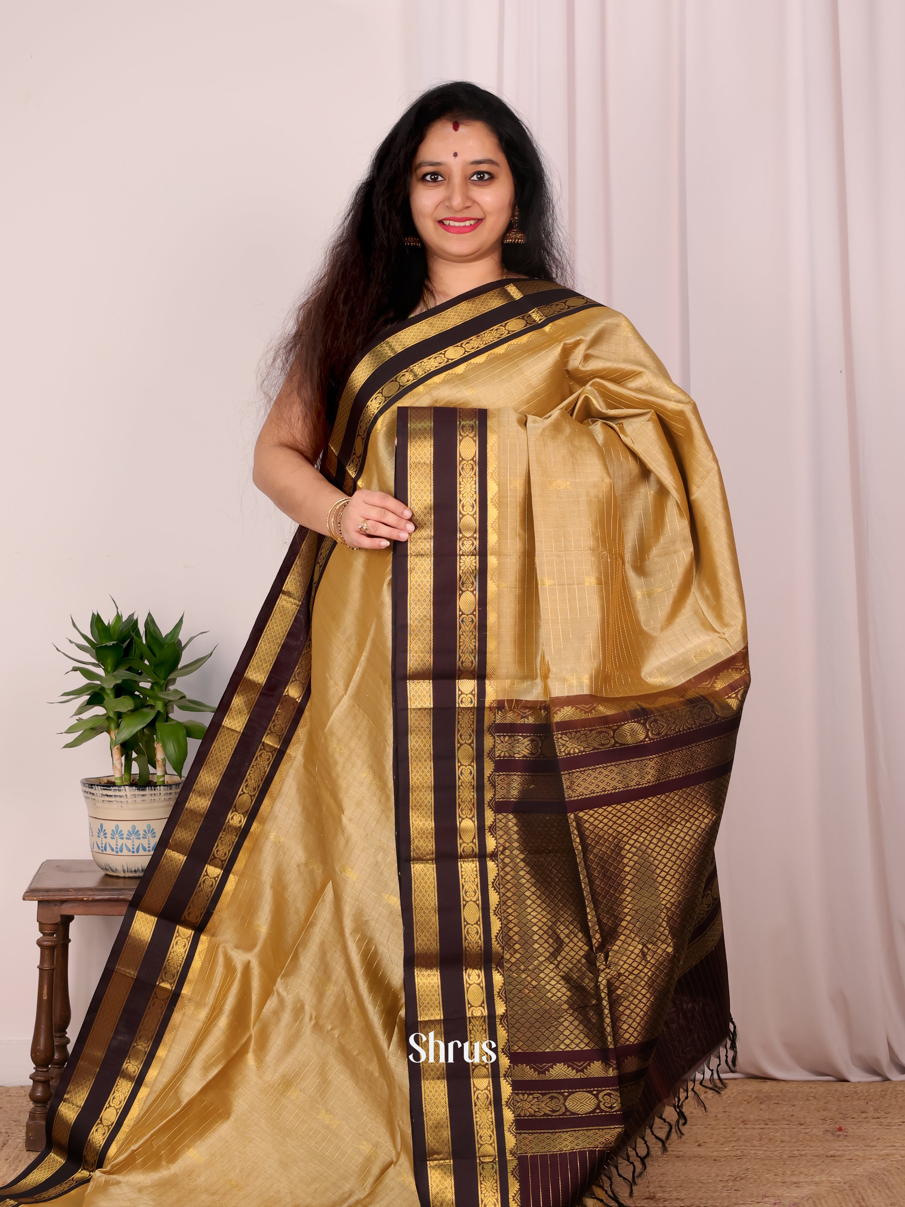 Gold & Brown - Silk Cotton Saree - Shop on Shrus.com