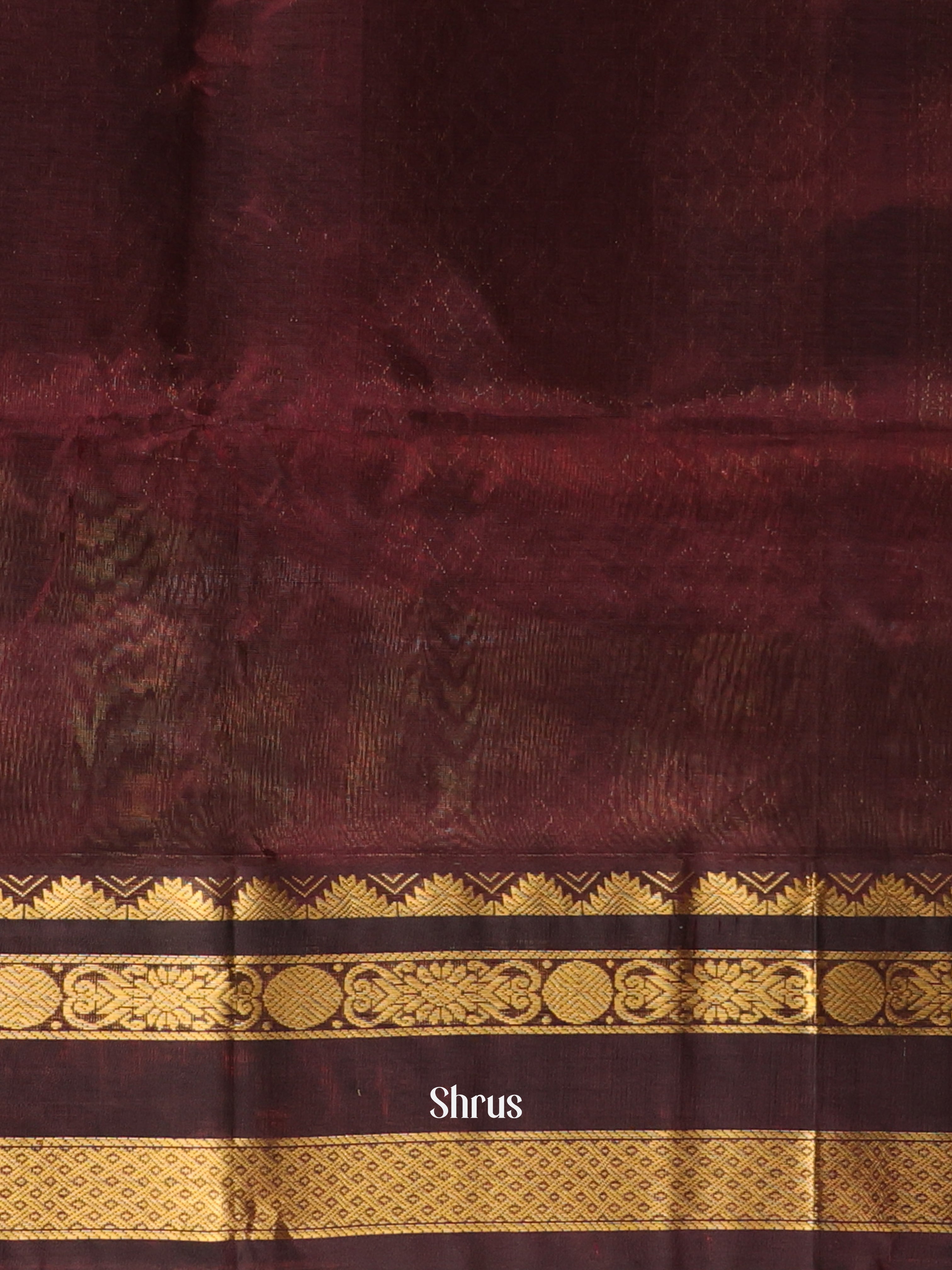 Gold & Brown - Silk Cotton Saree - Shop on Shrus.com