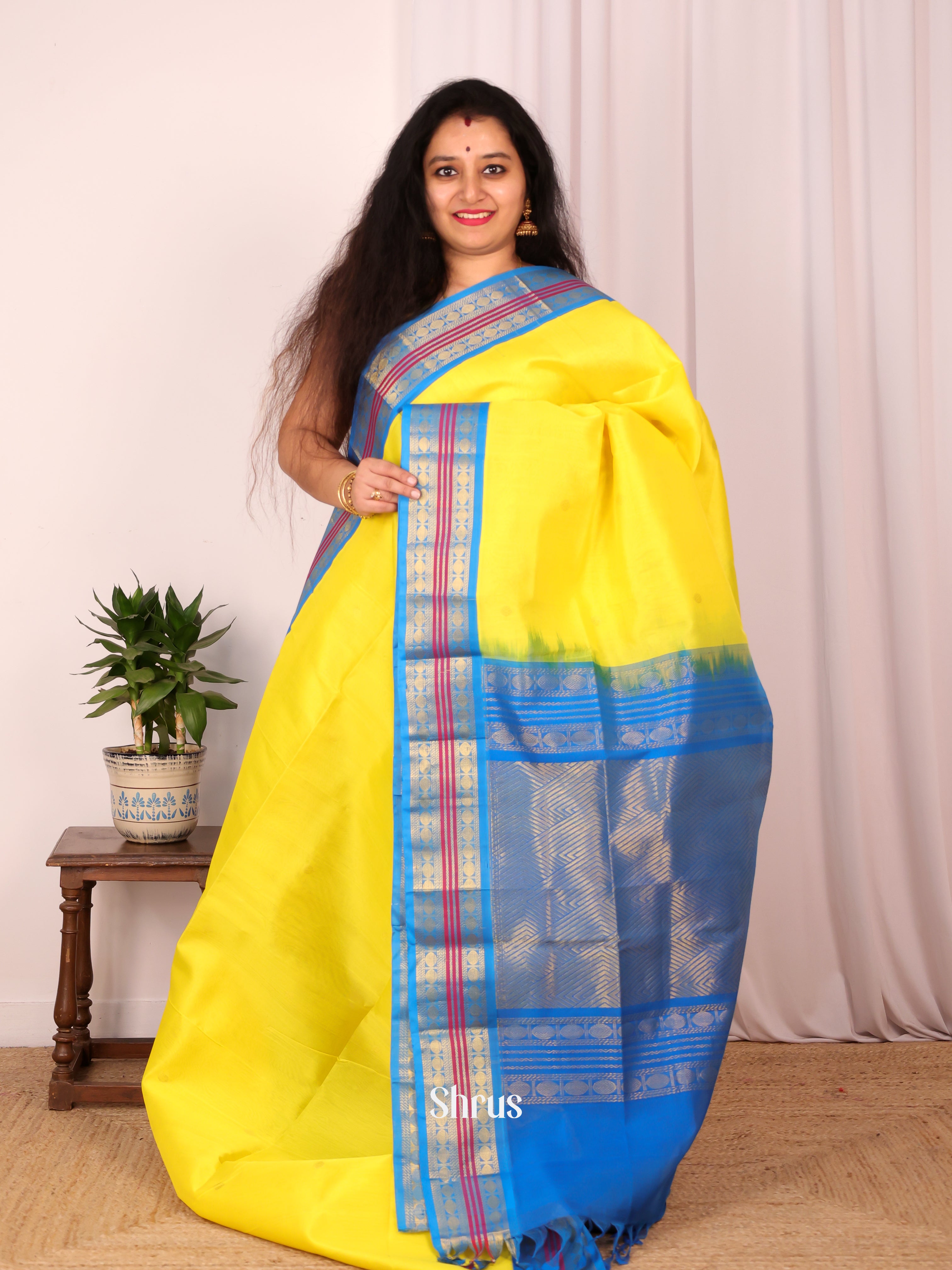 Yellow & Blue - Silk Cotton Saree - Shop on Shrus.com