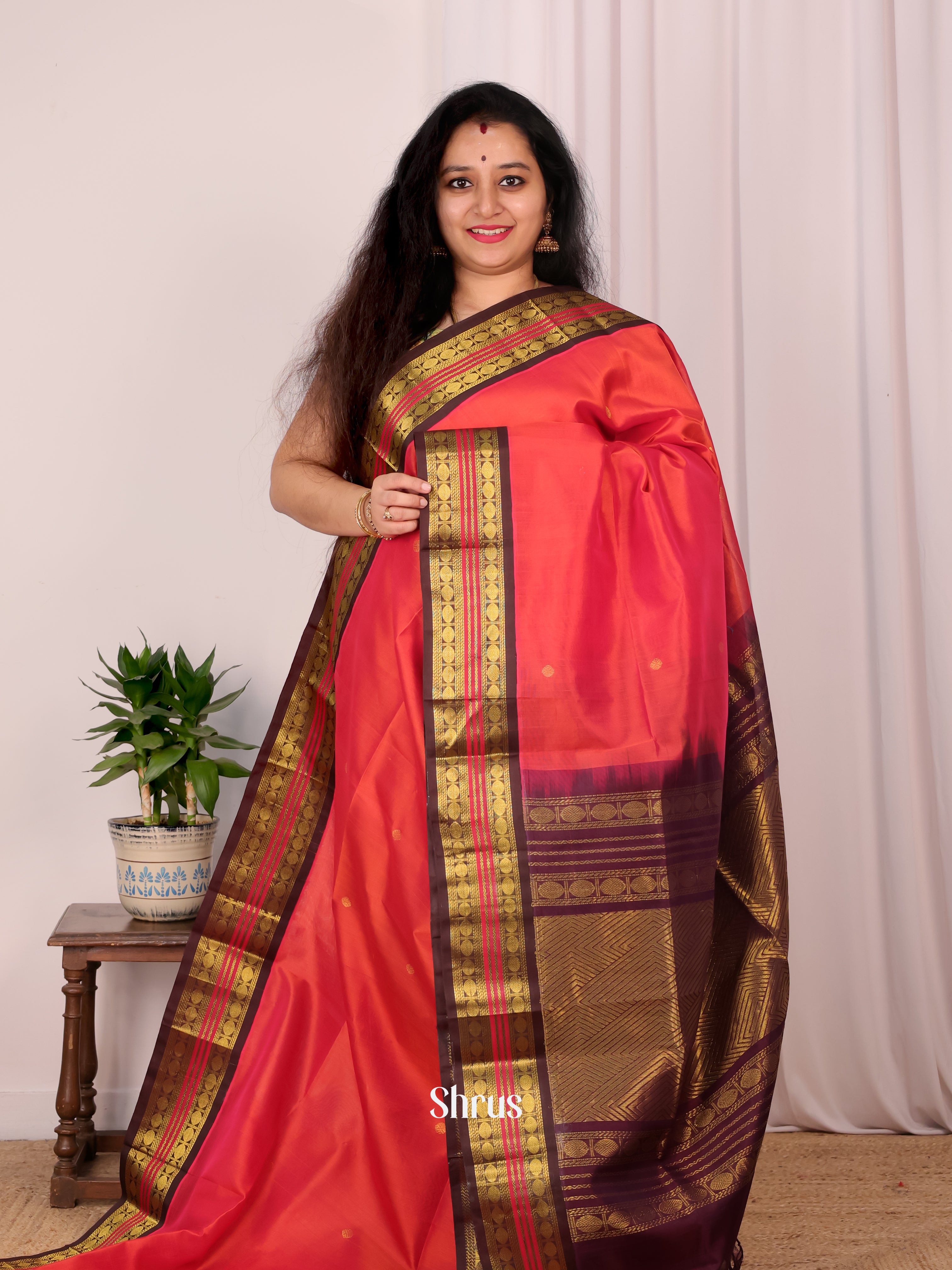 Red & Brown - Silk Cotton Saree - Shop on Shrus.com