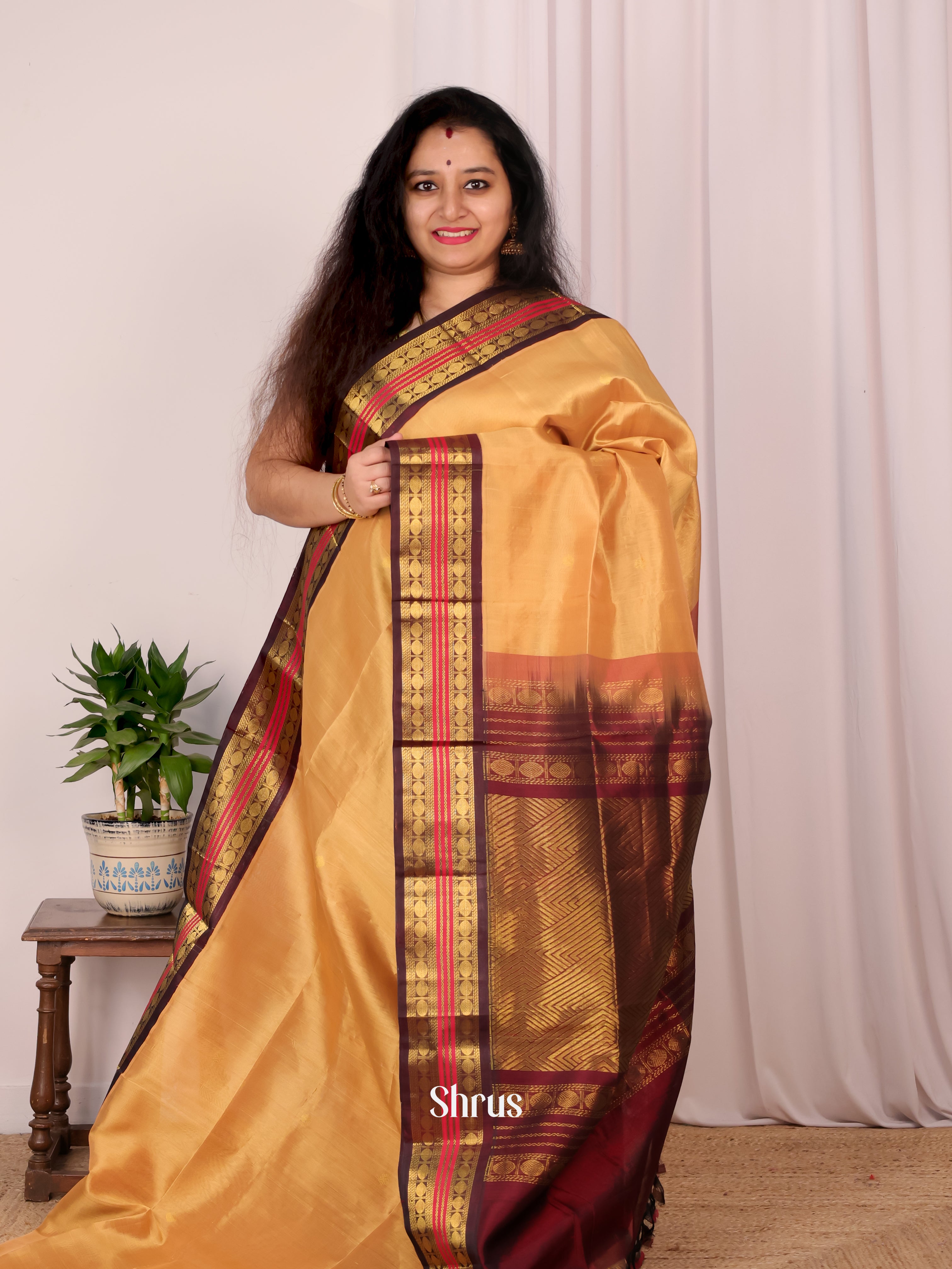 Lite Brown & brown - Silk Cotton Saree - Shop on Shrus.com