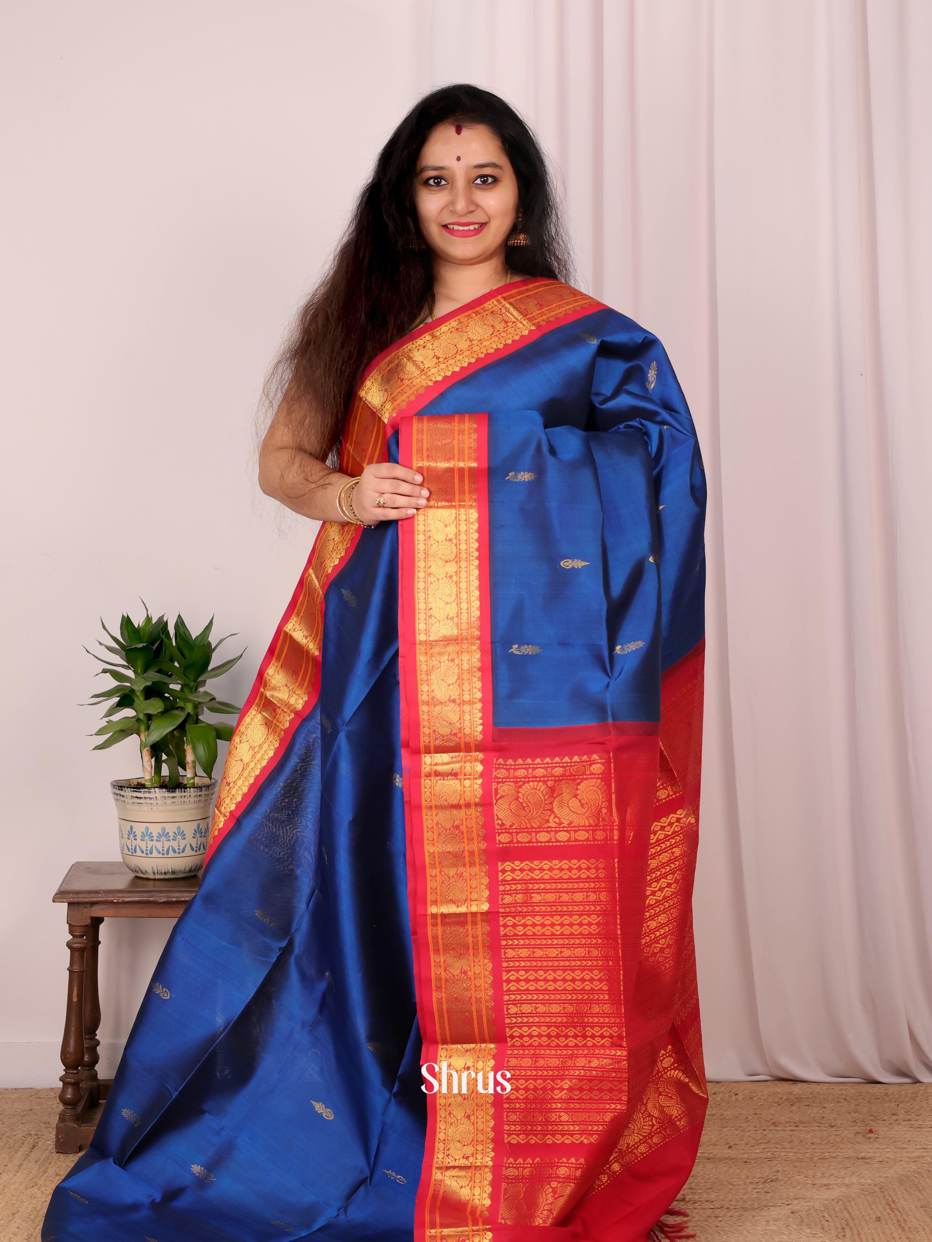 Blue & Red - Silk Cotton Saree - Shop on Shrus.com