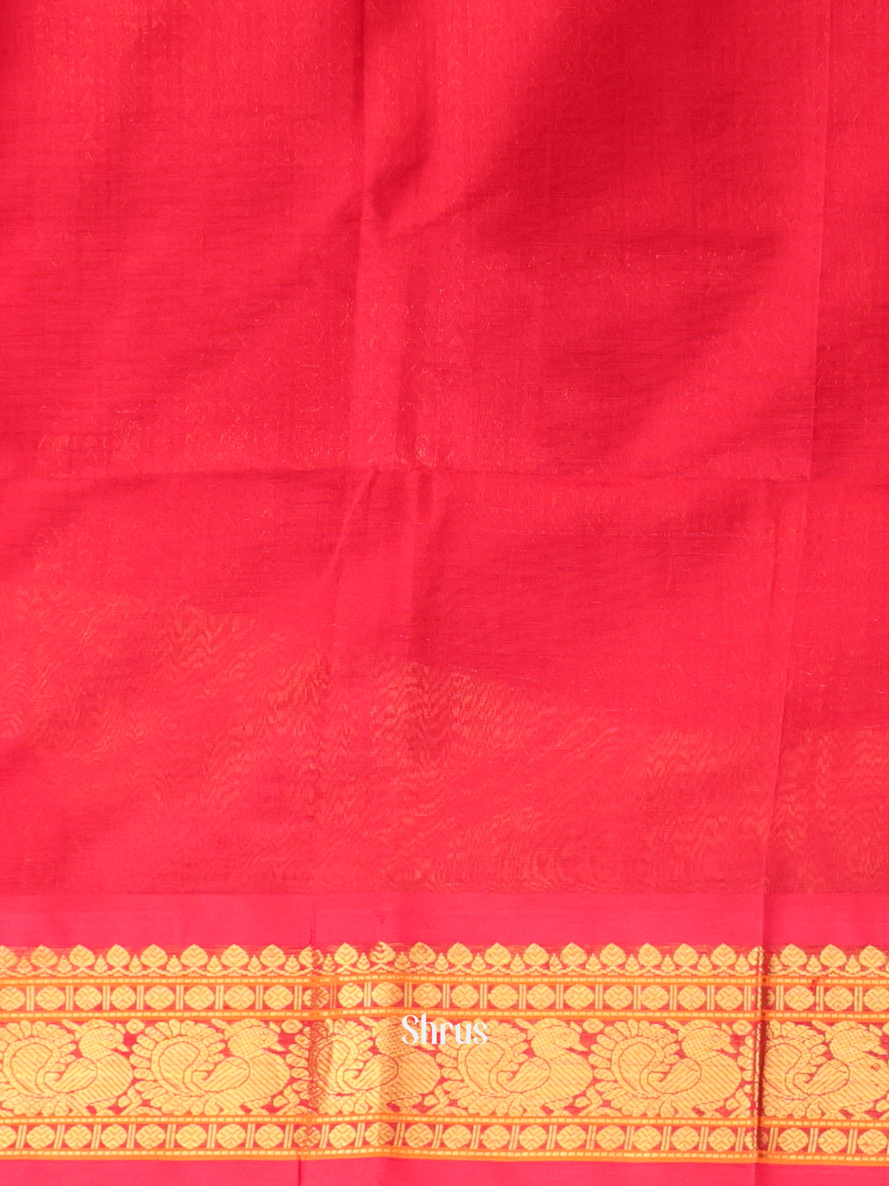 Blue & Red - Silk Cotton Saree - Shop on Shrus.com