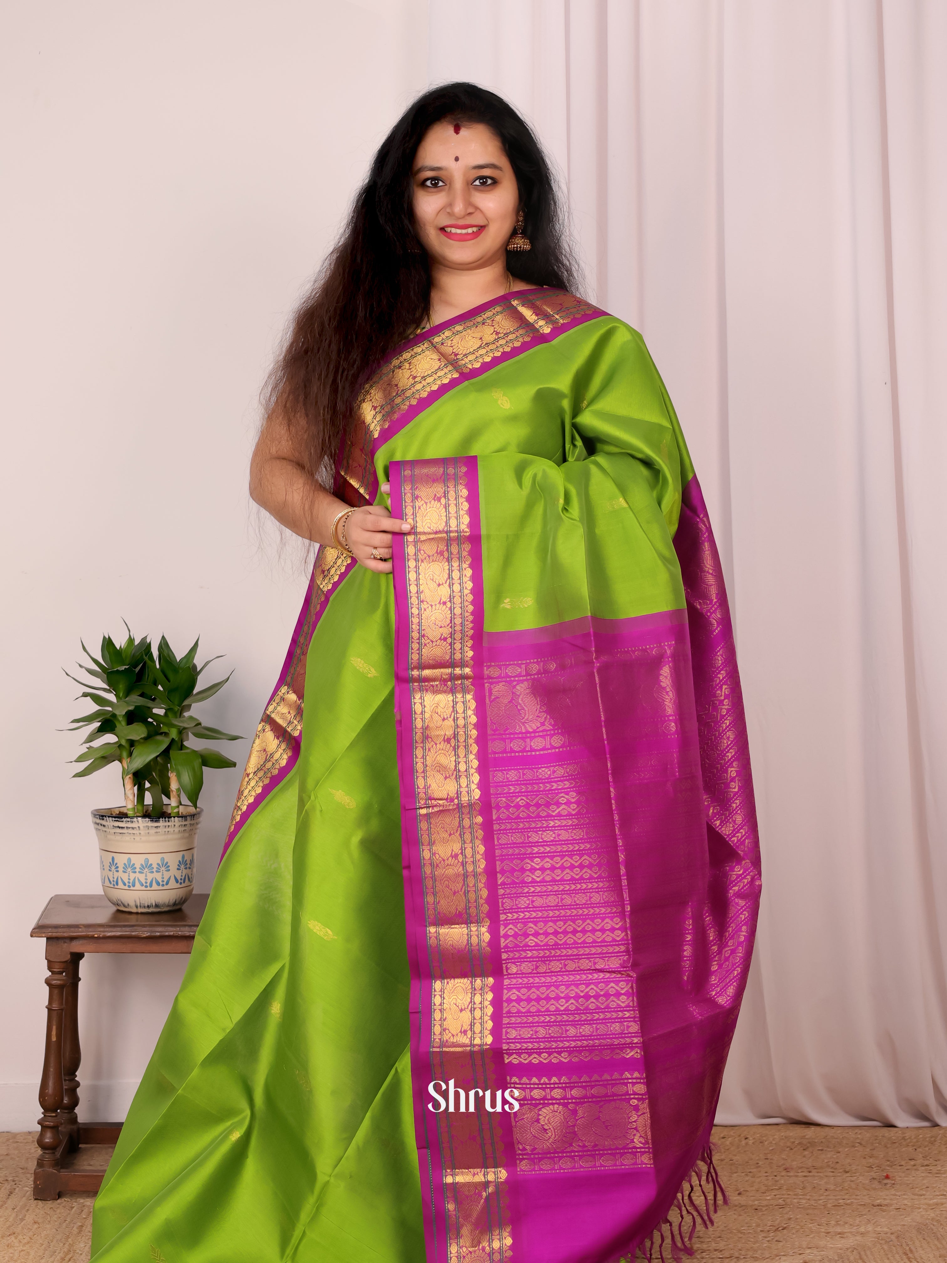Parrot Green & Magenta - Silk Cotton Saree - Shop on Shrus.com