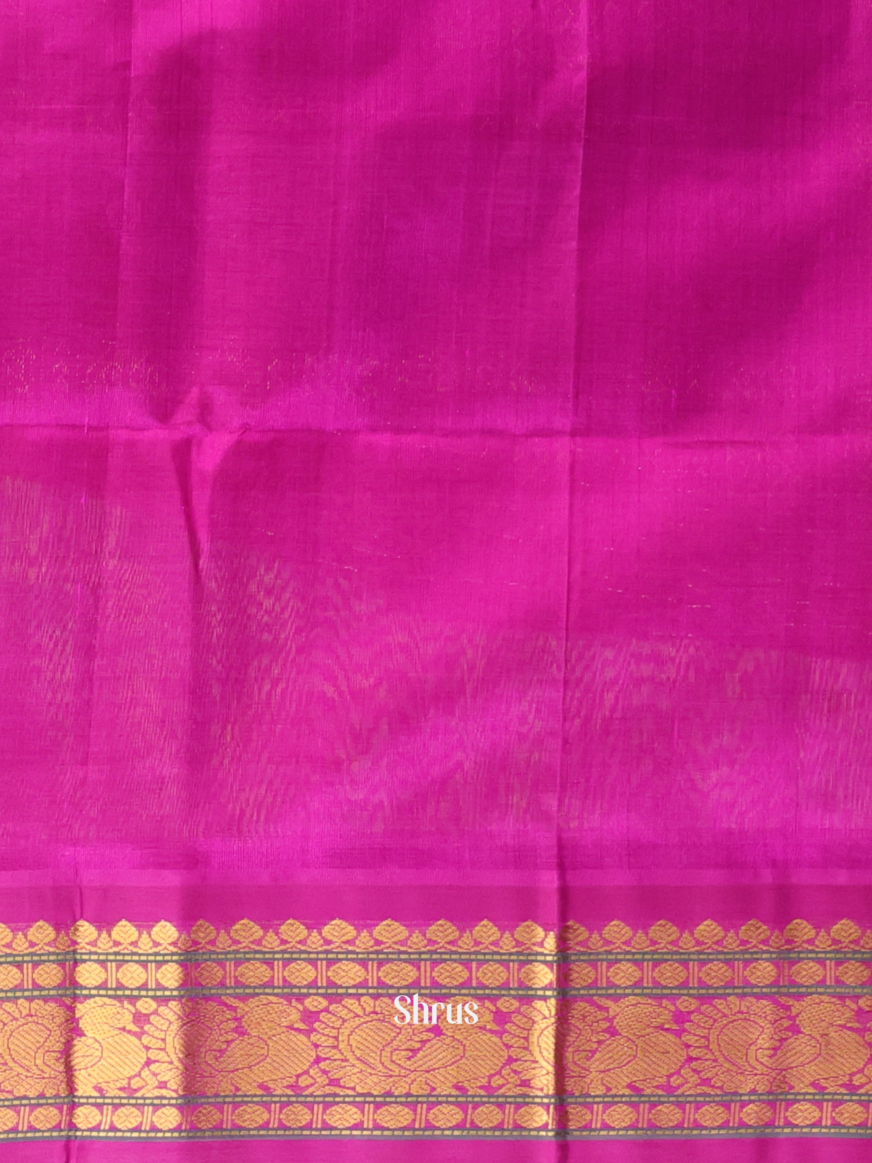 Parrot Green & Magenta - Silk Cotton Saree - Shop on Shrus.com