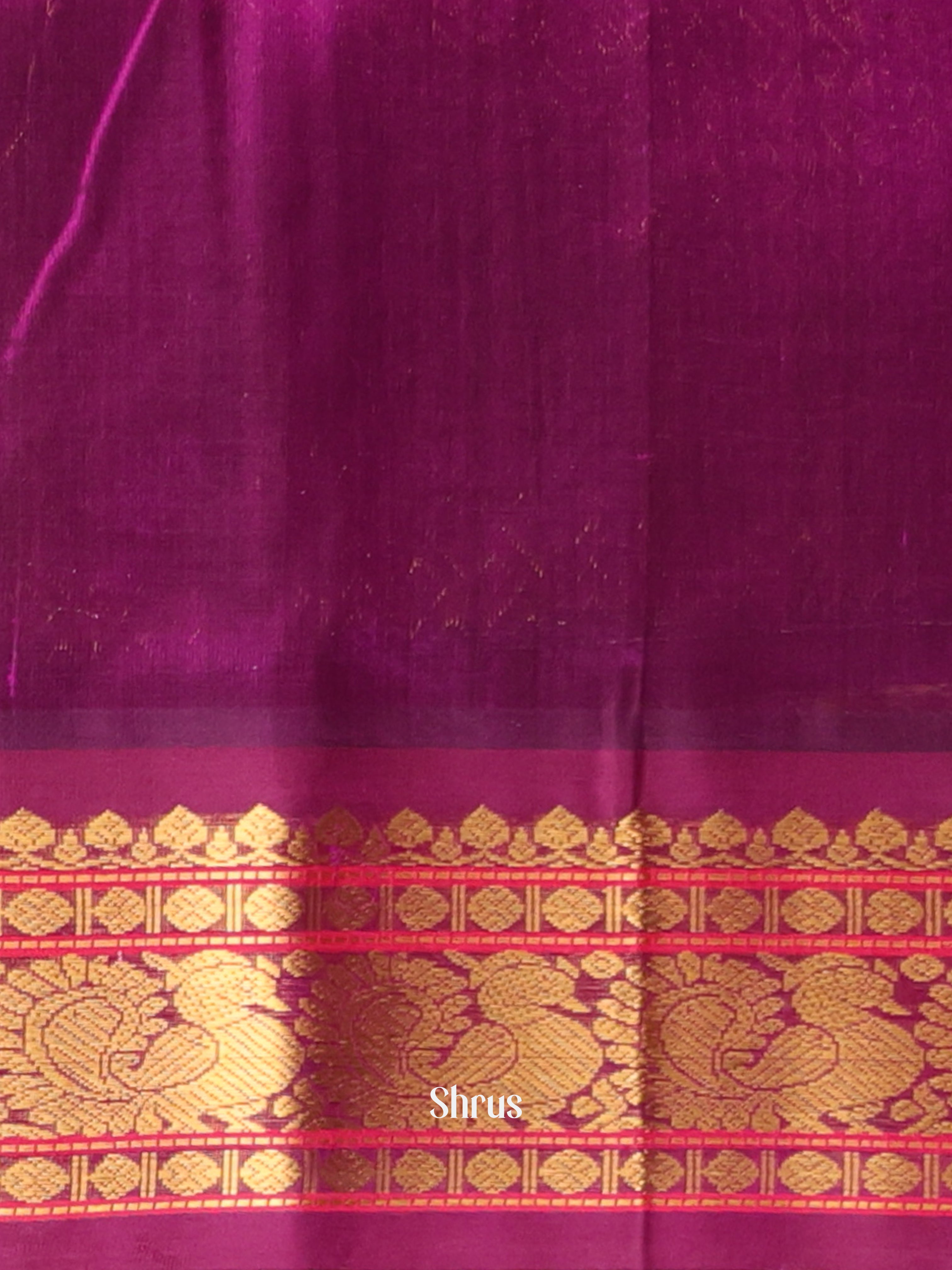 Beige & Violet - Silk Cotton Saree - Shop on Shrus.com