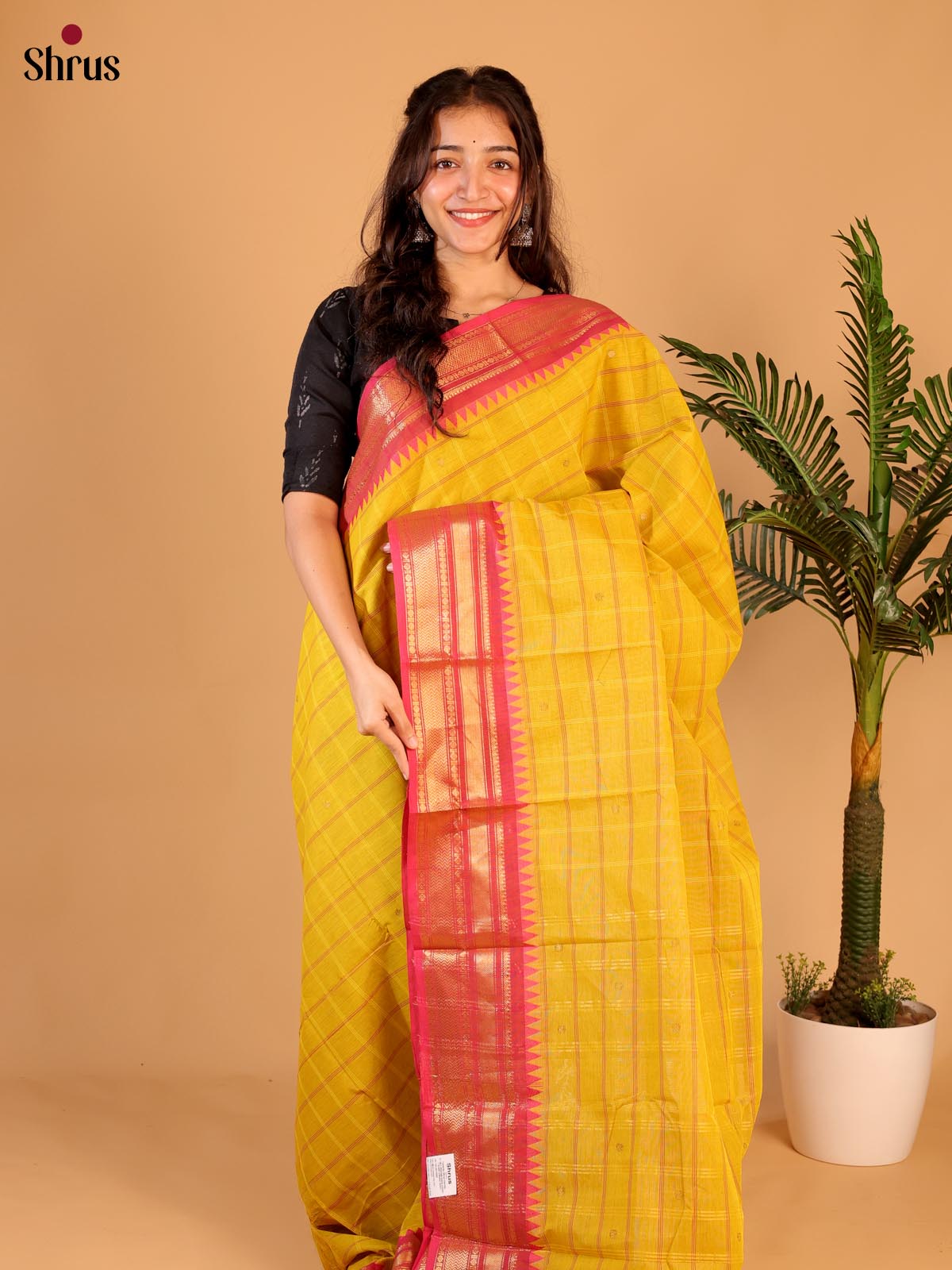 Mustard & Pink - Chettinad Cotton Saree - Shop on Shrus.com