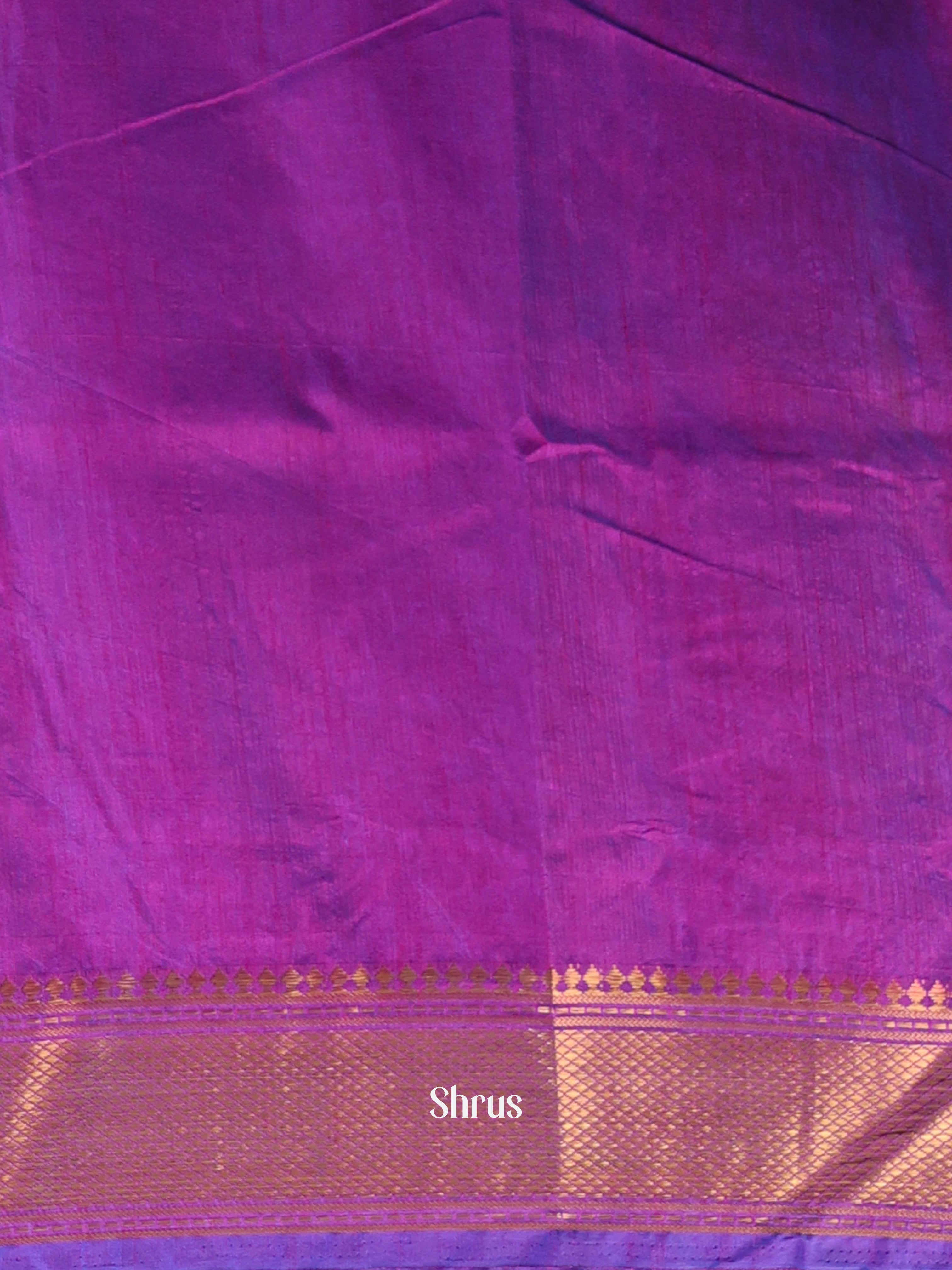 Blue & Purple - Semi Patola Saree - Shop on Shrus.com