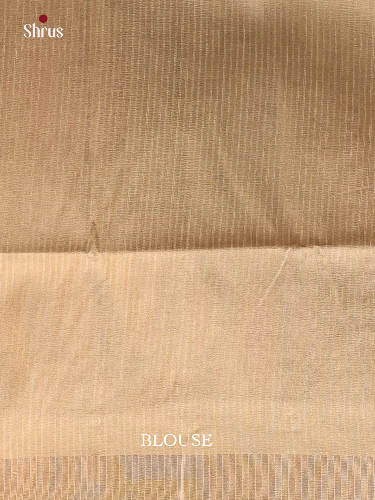 Dull Gold - Bamboo silk Saree - Shop on Shrus.com