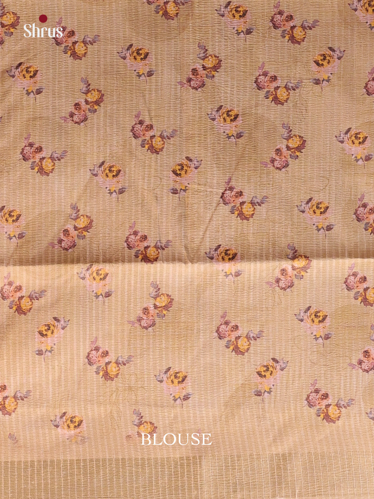 Beige - Bamboo silk Saree - Shop on Shrus.com