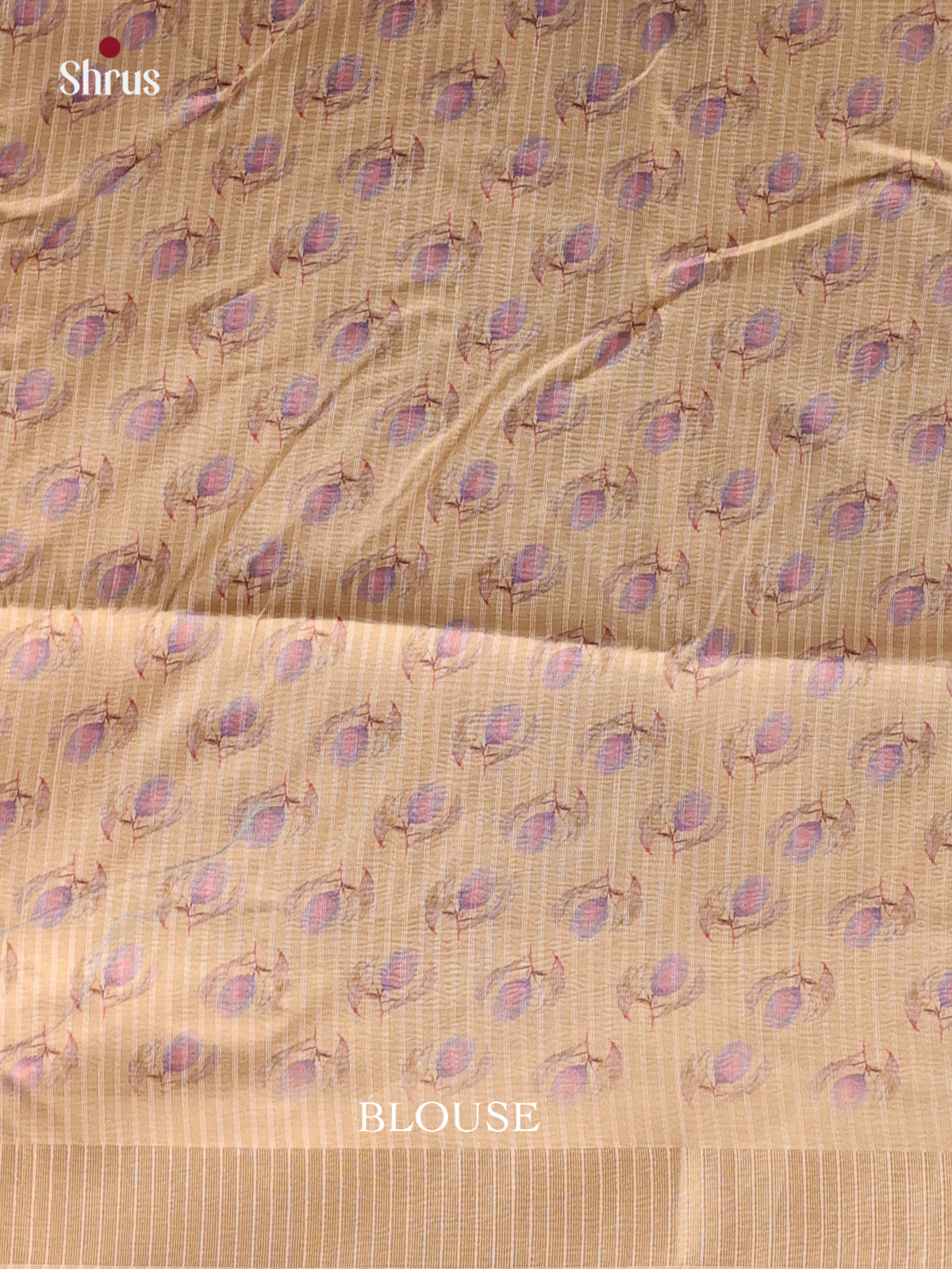 Cream - Bamboo silk Saree - Shop on Shrus.com