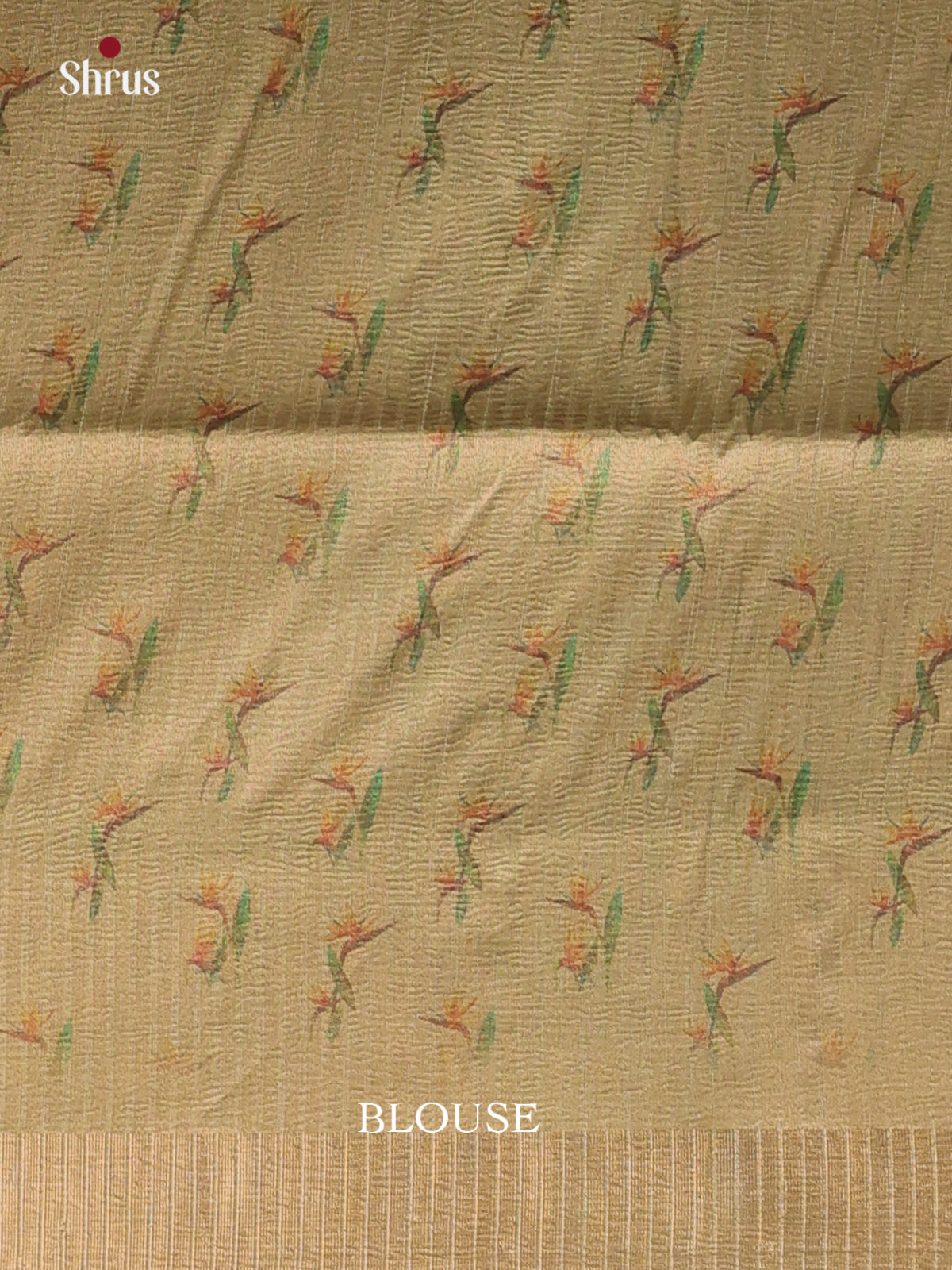 Green - Bamboo silk Saree - Shop on Shrus.com