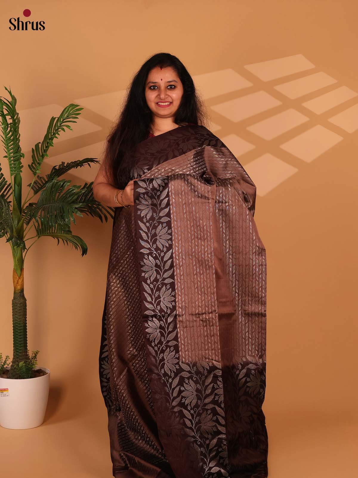 Lite Brown & Brown - Soft Silk Saree - Shop on Shrus.com