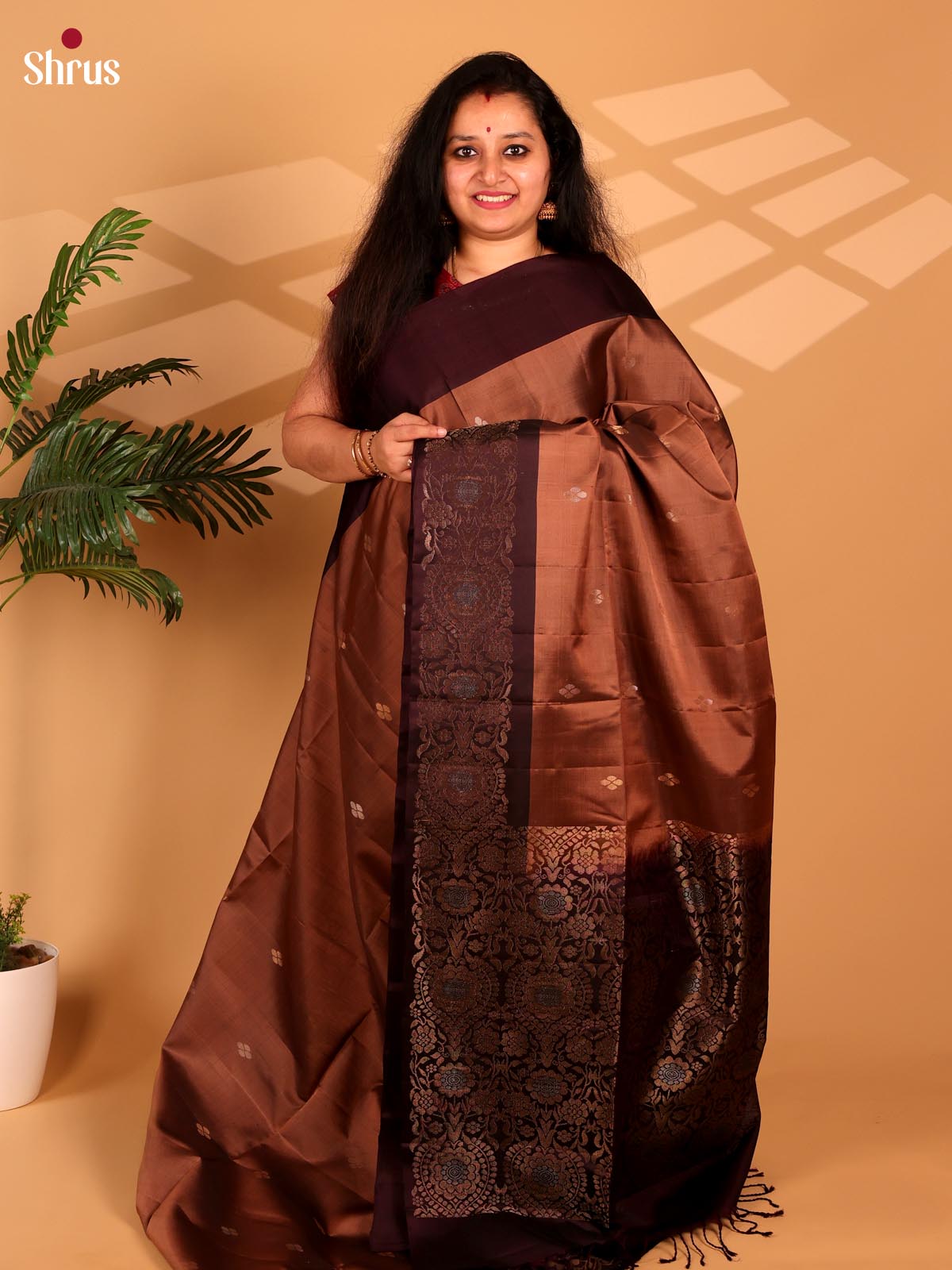 Brown & Coffee Brown - Soft Silk Saree - Shop on Shrus.com