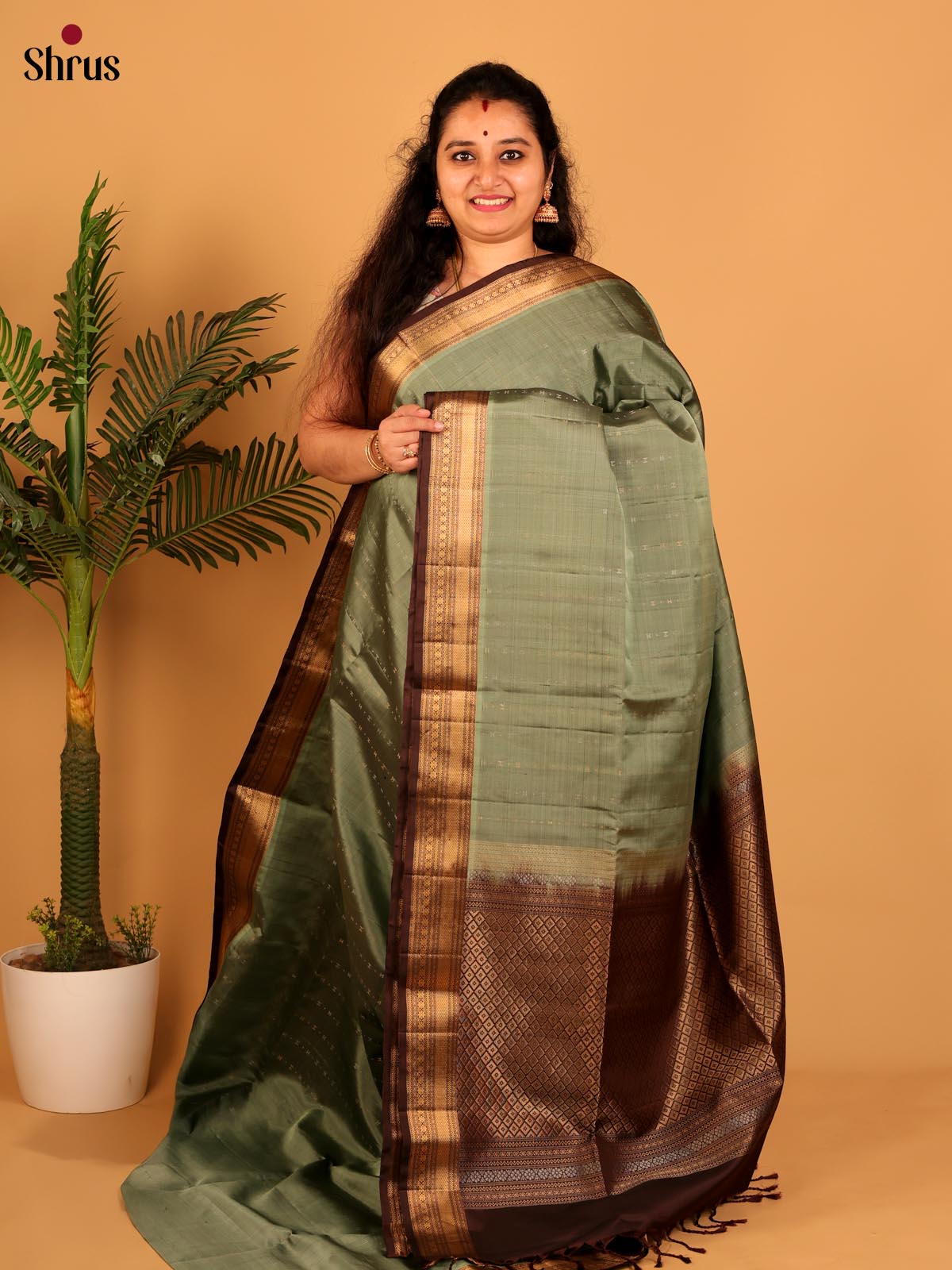 Green & Brown- Soft Silk Saree - Shop on Shrus.com