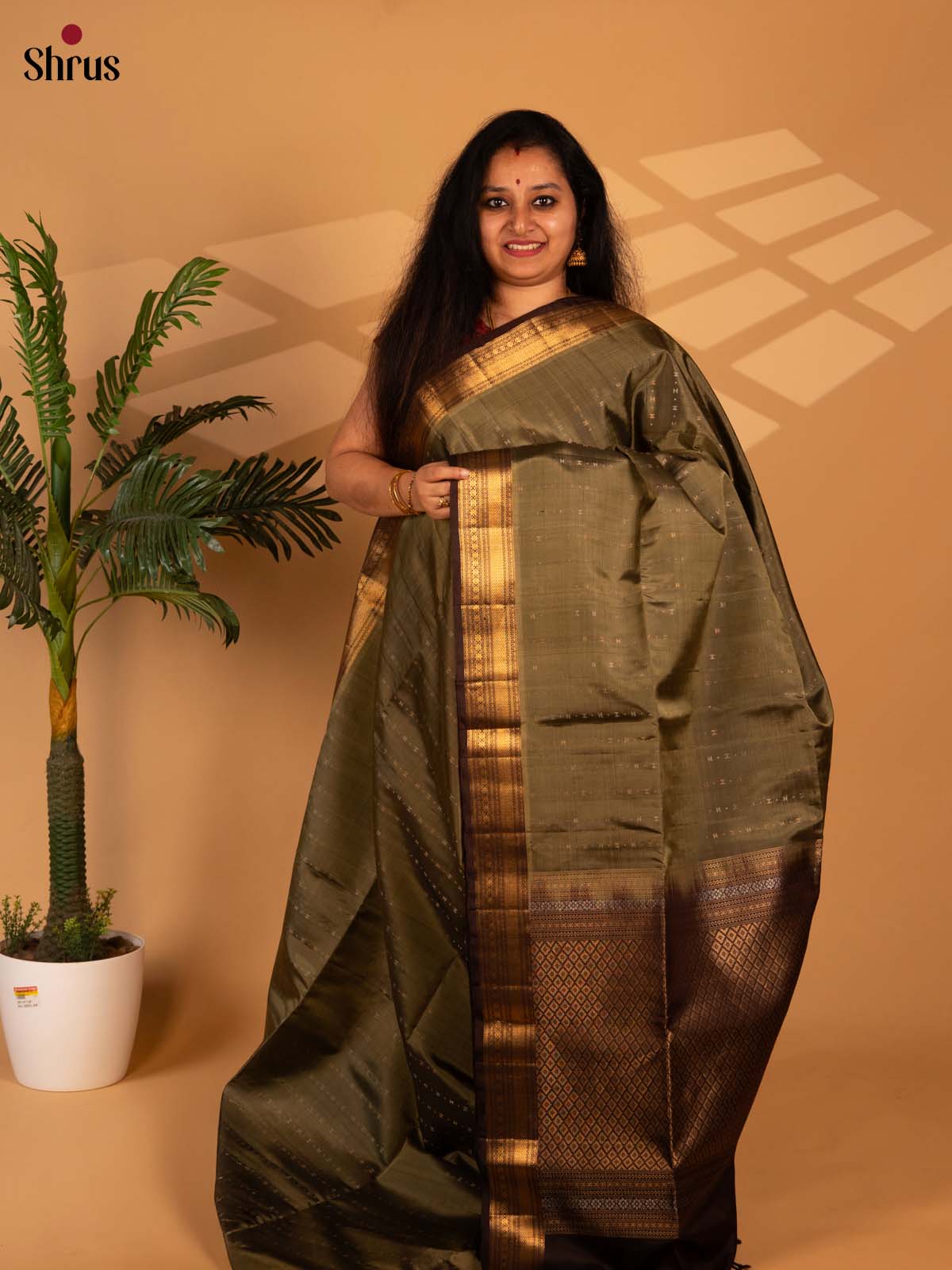 Green & Brown - Soft Silk Saree - Shop on Shrus.com