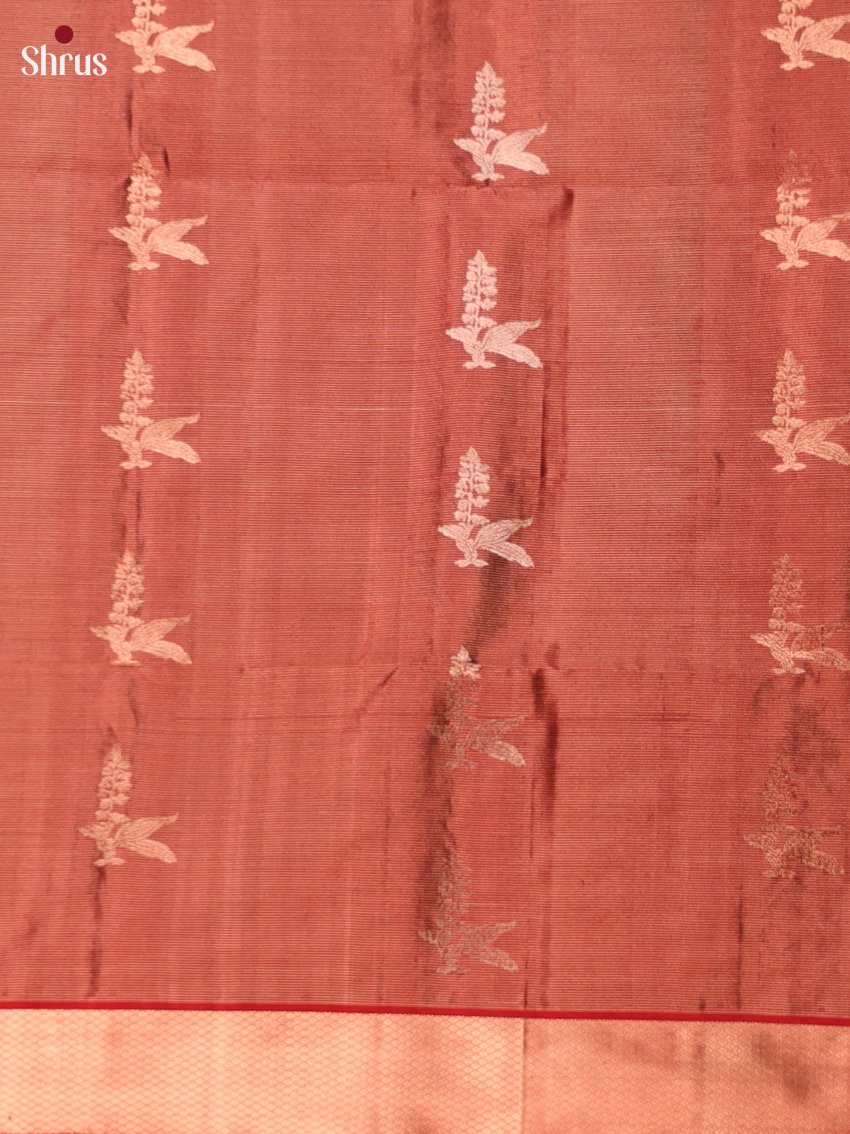 Exquisite Brown Soft Silk Saree with Zari Bird Motifs, Maroon Border & Brocade Pallu-3