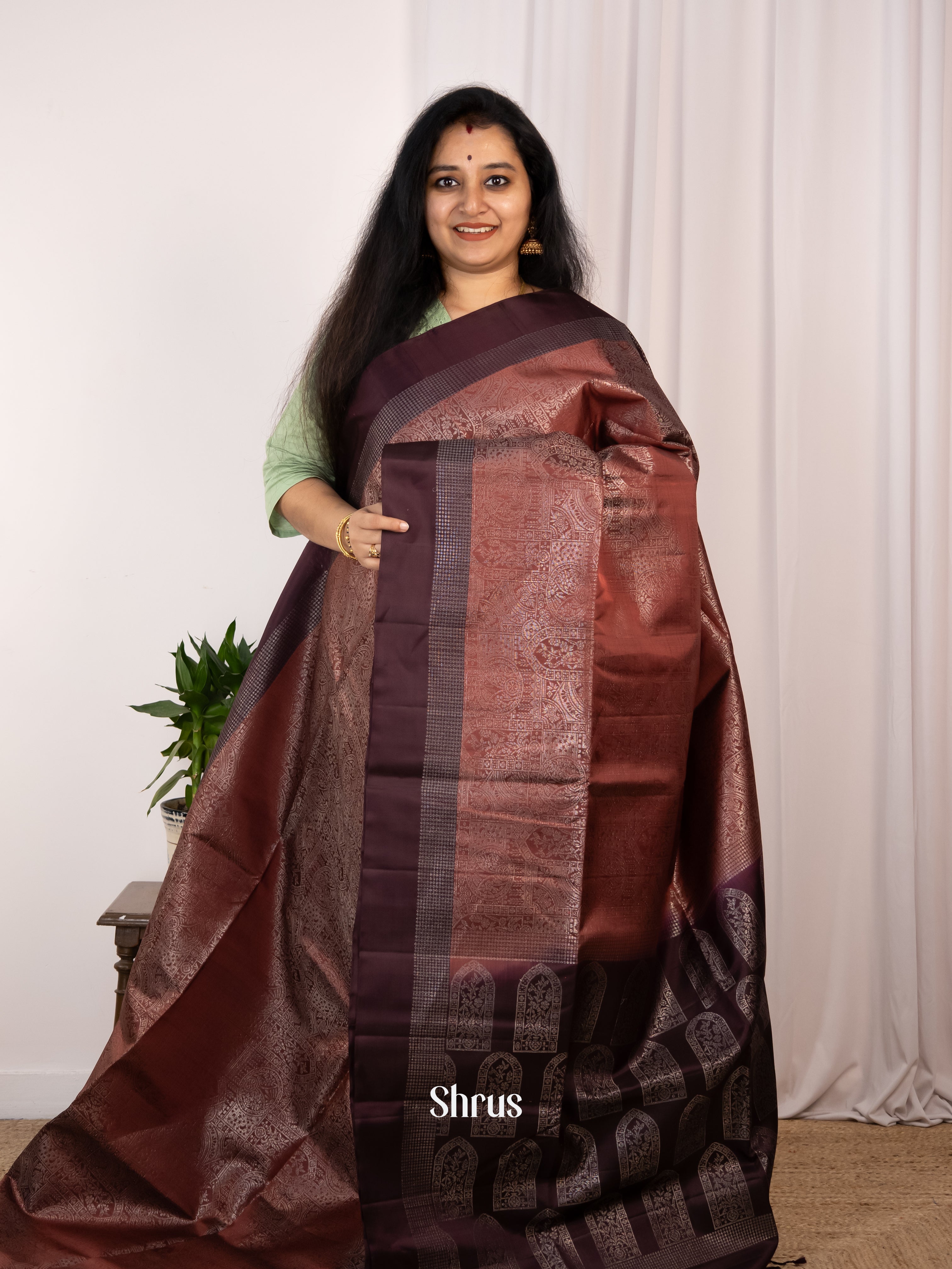 Brown & Cofee Brown - Soft Silk Saree - Shop on Shrus.com