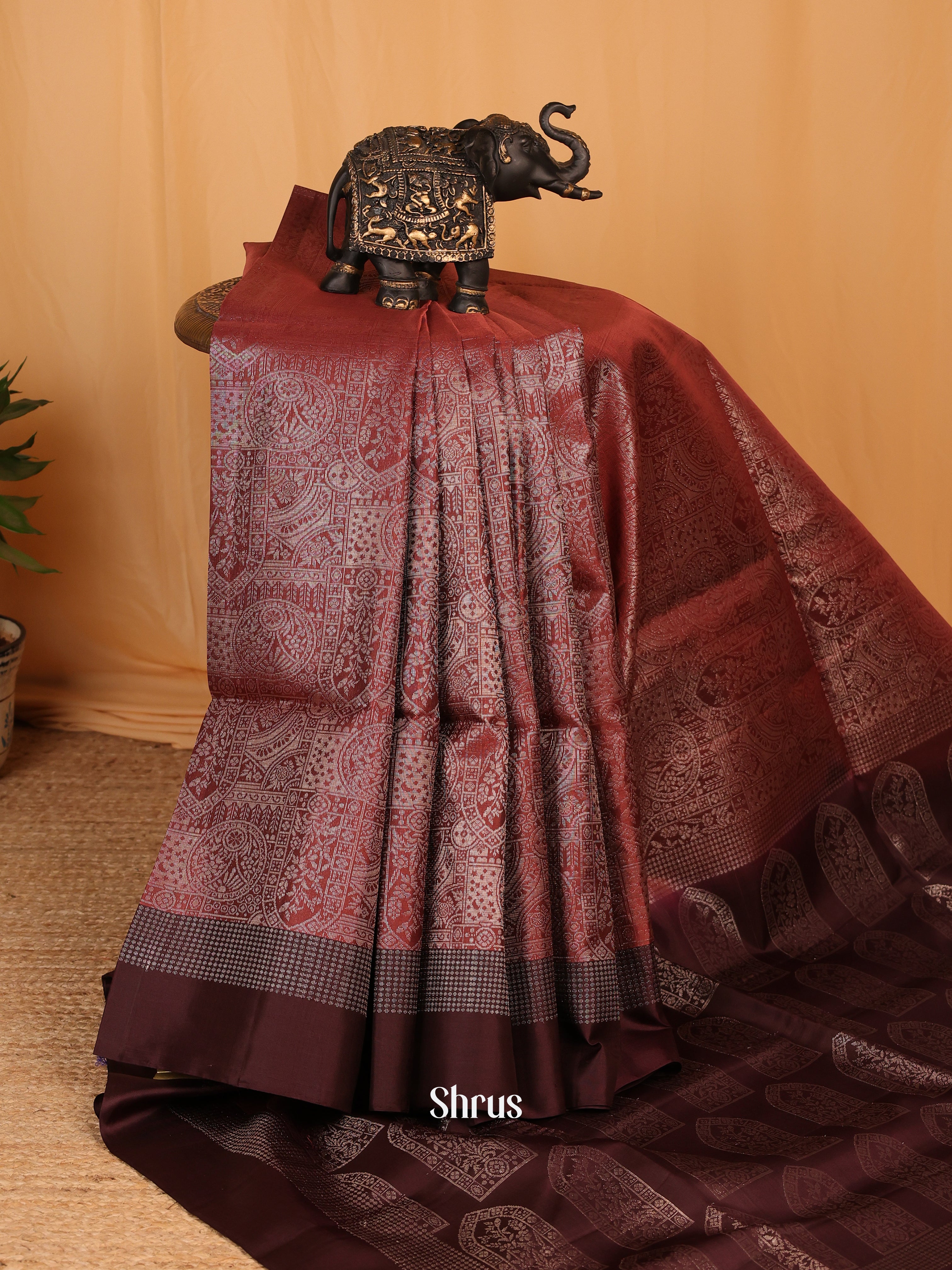Brown & Cofee Brown - Soft Silk Saree - Shop on Shrus.com