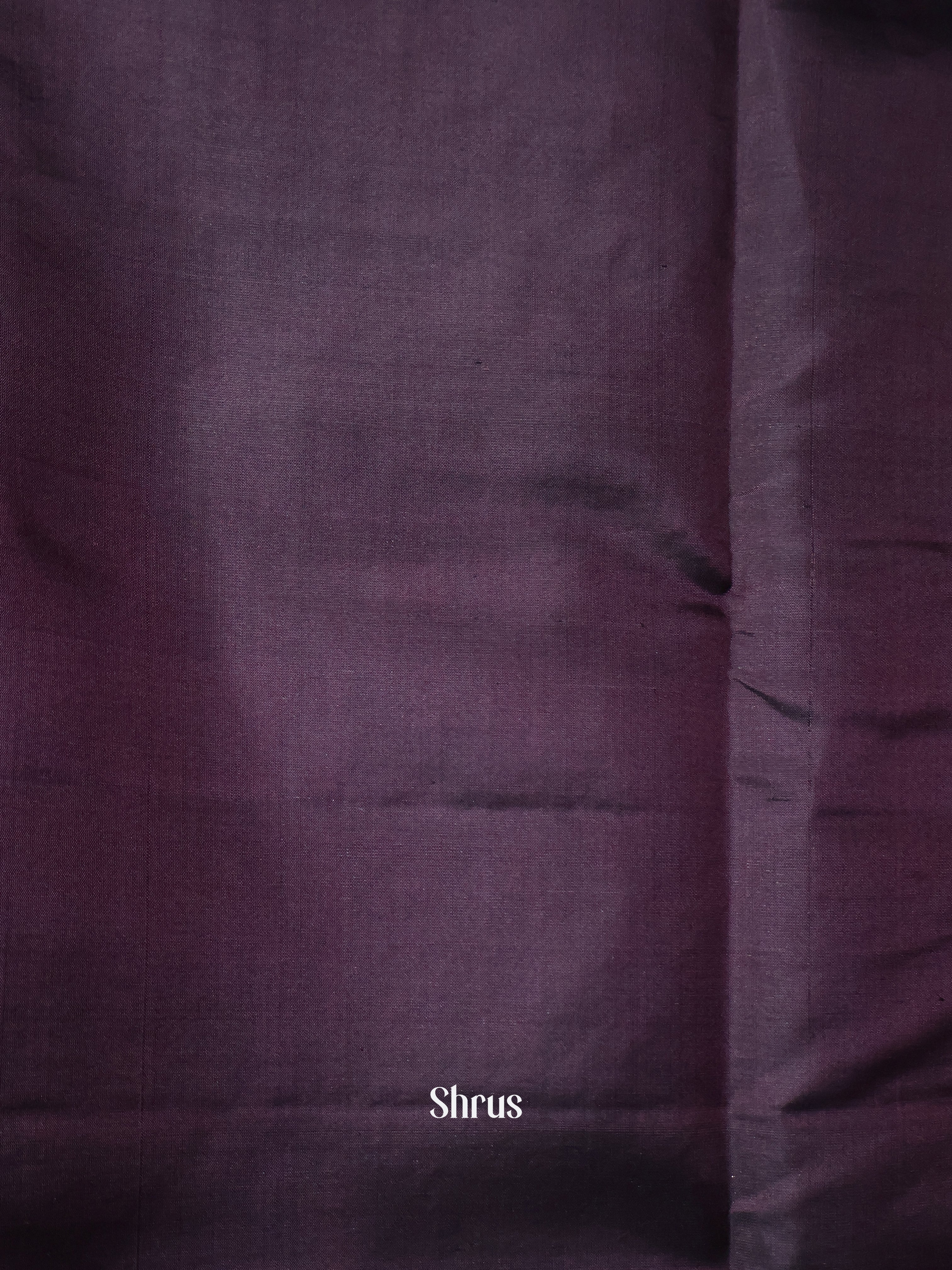 Chocolate Brown & Brown - Soft Silk Saree - Shop on Shrus.com