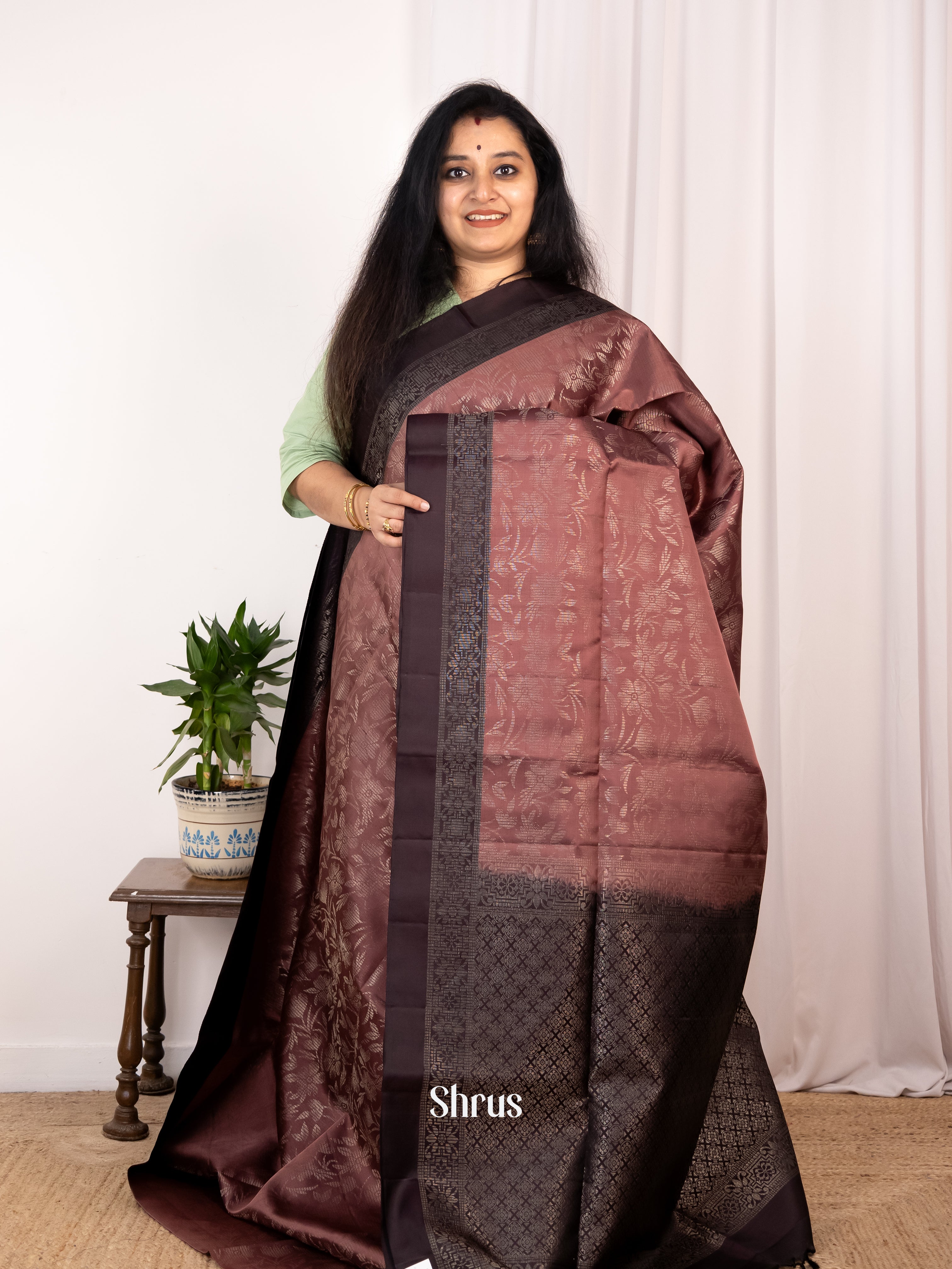 Brown & Dark Brown - Soft Silk Saree - Shop on Shrus.com