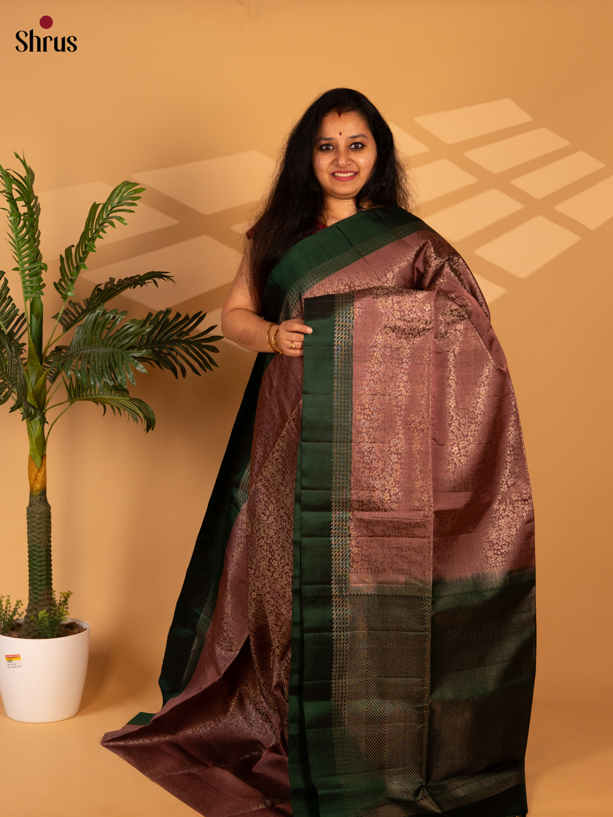 Brown & Green - Soft Silk Saree - Shop on Shrus.com