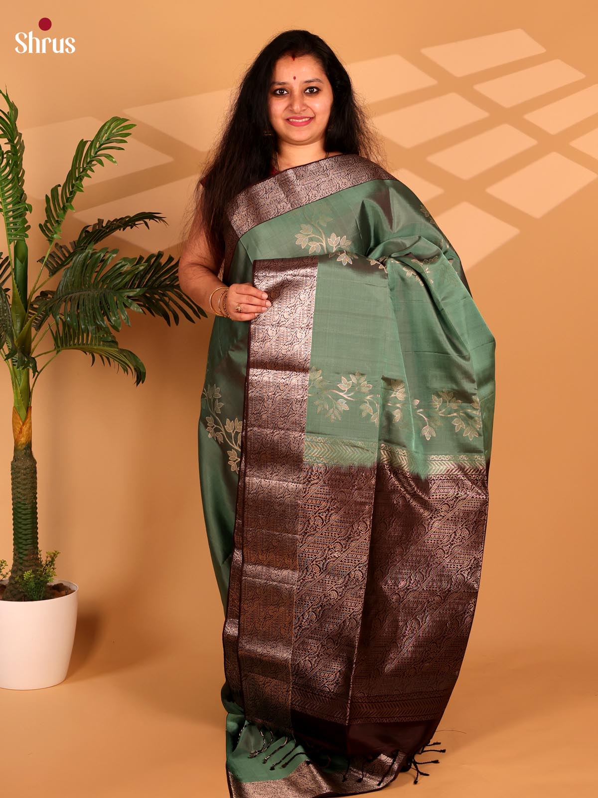 Green & Brown - Soft Silk Saree - Shop on Shrus.com