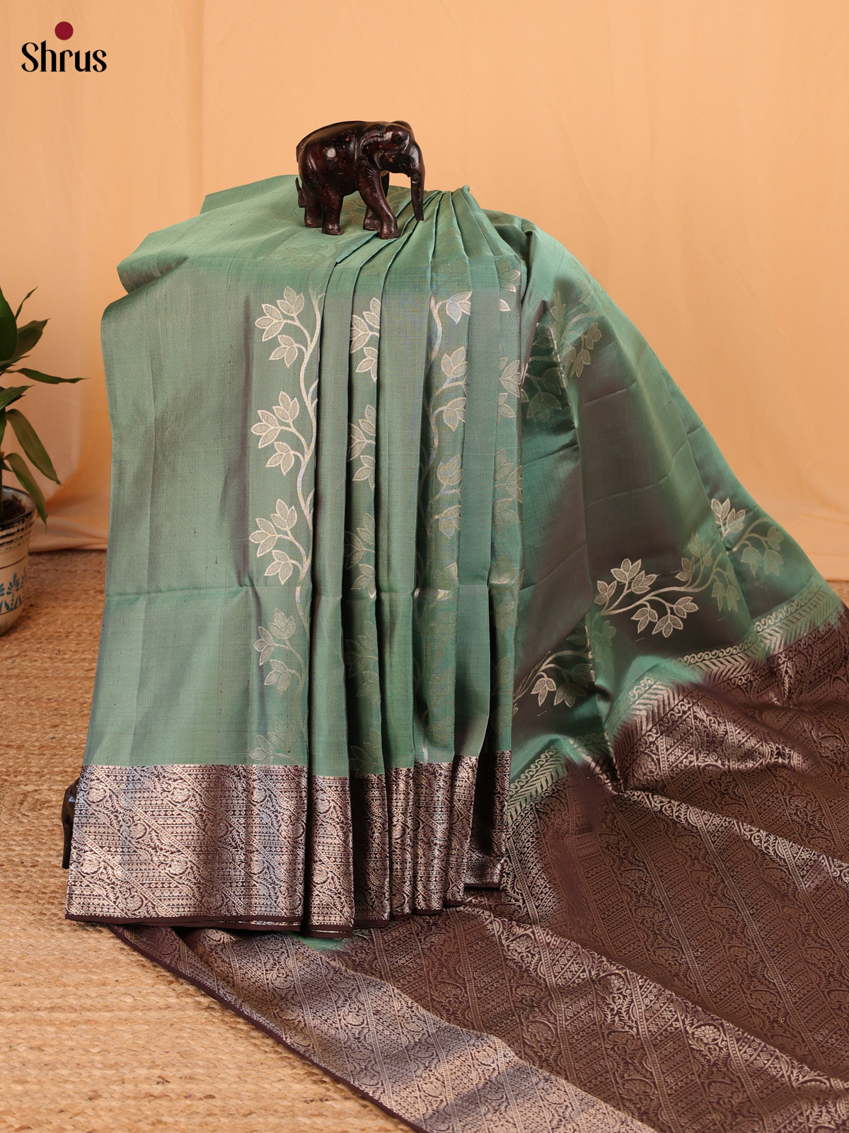 Green & Brown - Soft Silk Saree - Shop on Shrus.com