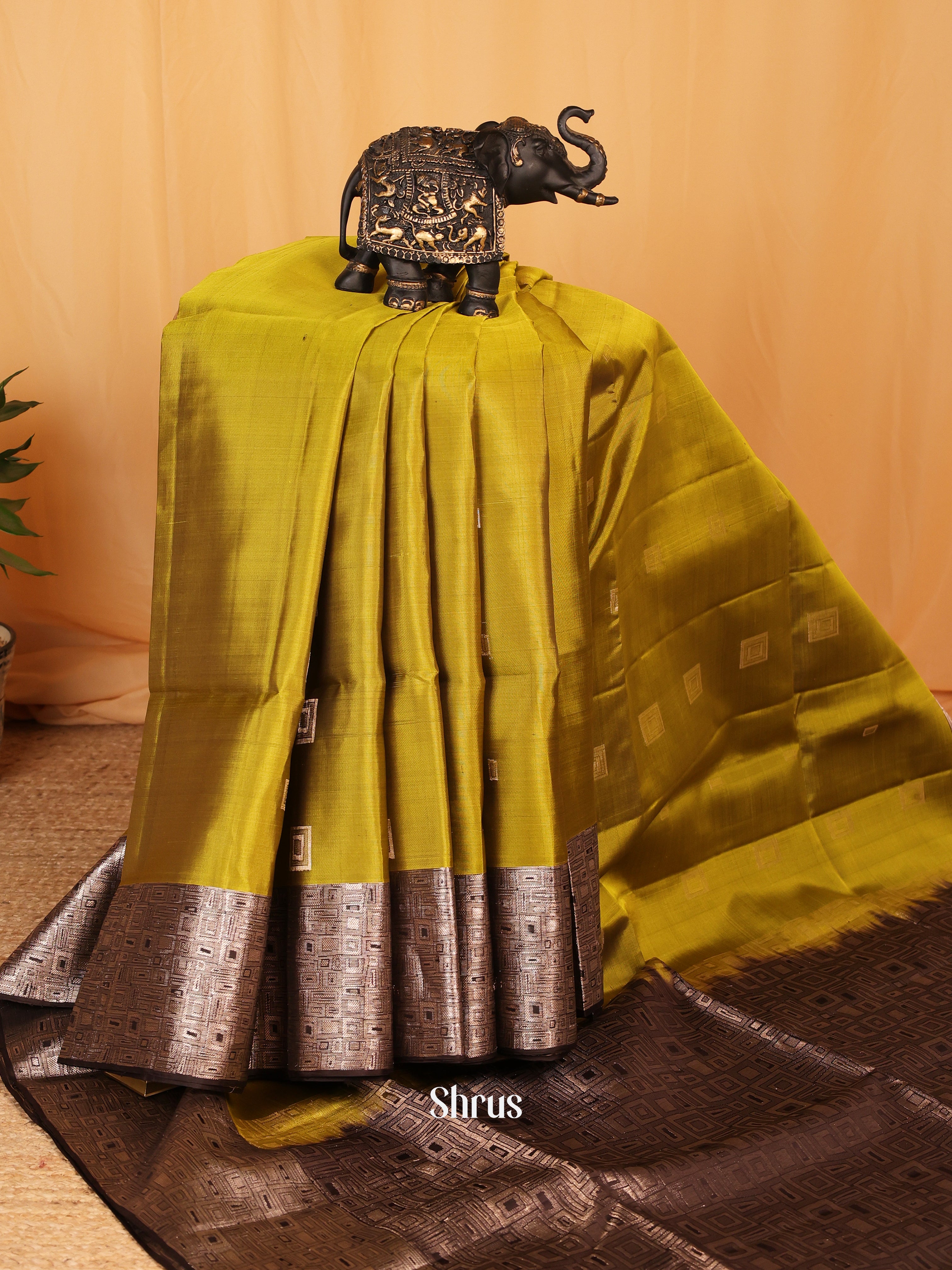 Green & Brown - Soft Silk Saree - Shop on Shrus.com
