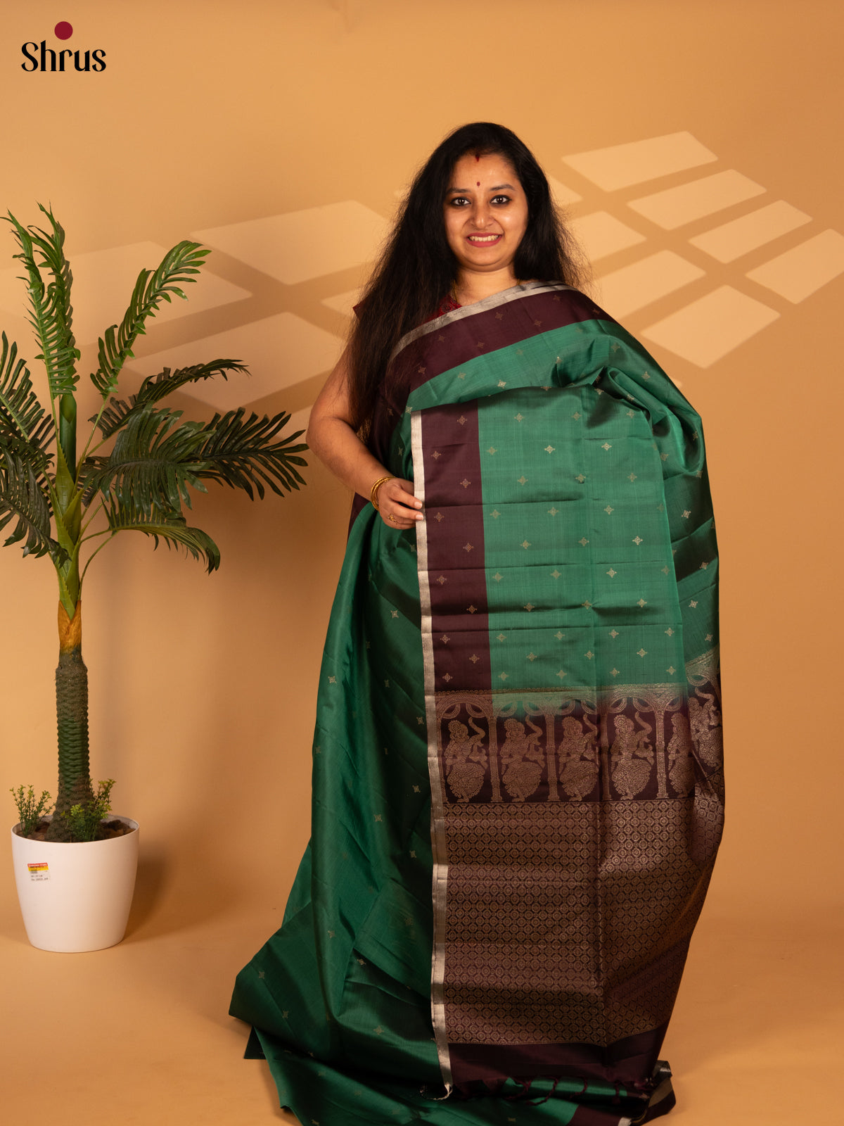 Green & Brown - Soft Silk Saree - Shop on Shrus.com