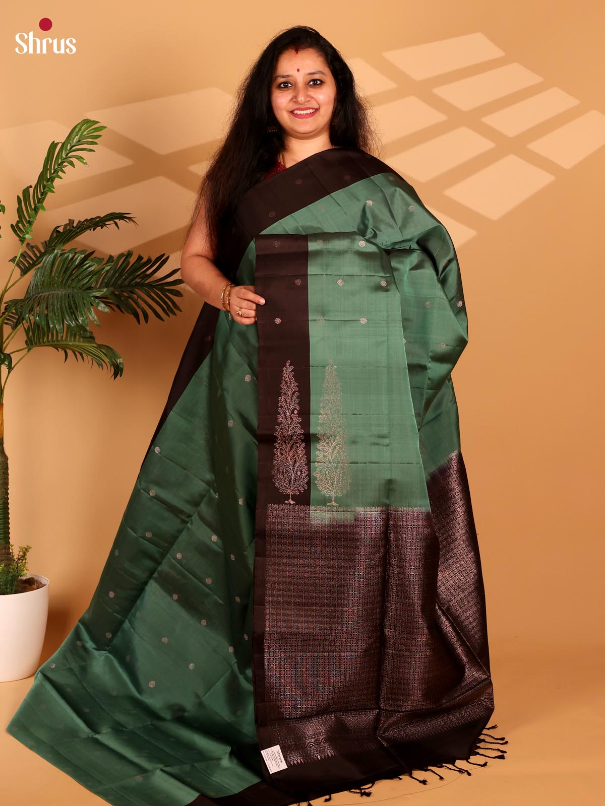 Green & Brown- Soft Silk Saree - Shop on Shrus.com