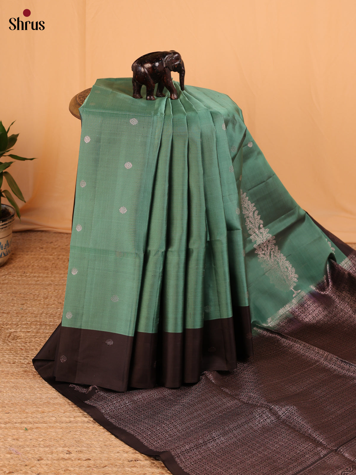 Green & Brown- Soft Silk Saree - Shop on Shrus.com